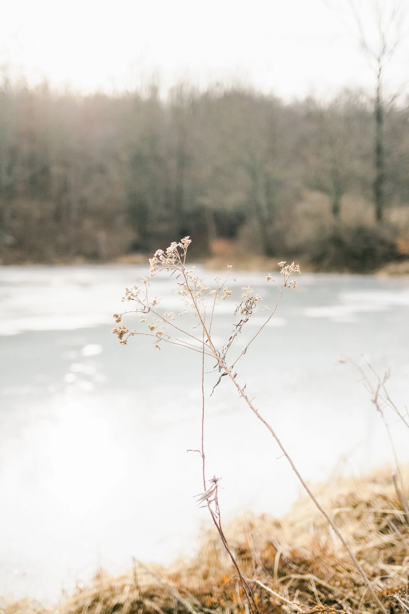 EPISODE 28: Break Free - From Stagnation to Liberation