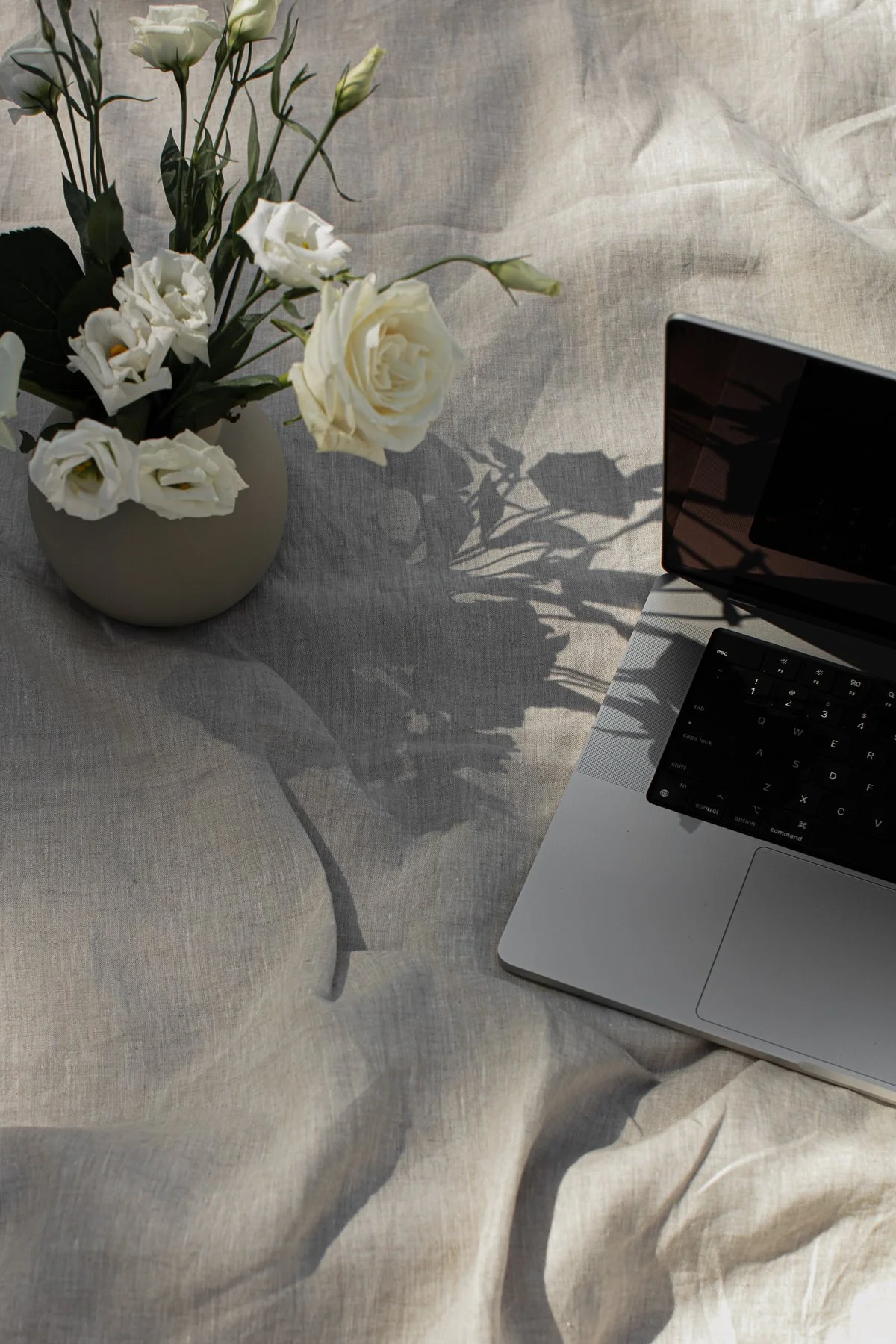 EPISODE 29: What If Your Vulnerabilities Could Make You Stronger?