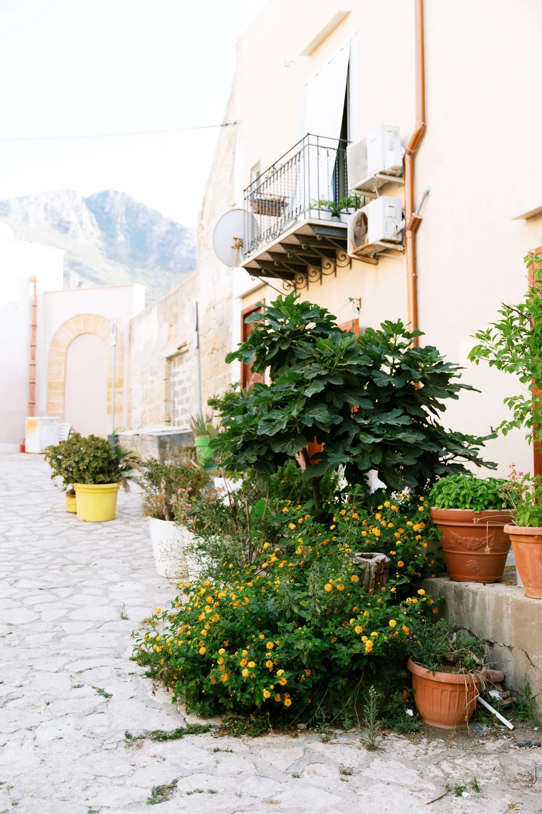 EPISODE 33: Fear is Not Your Friend