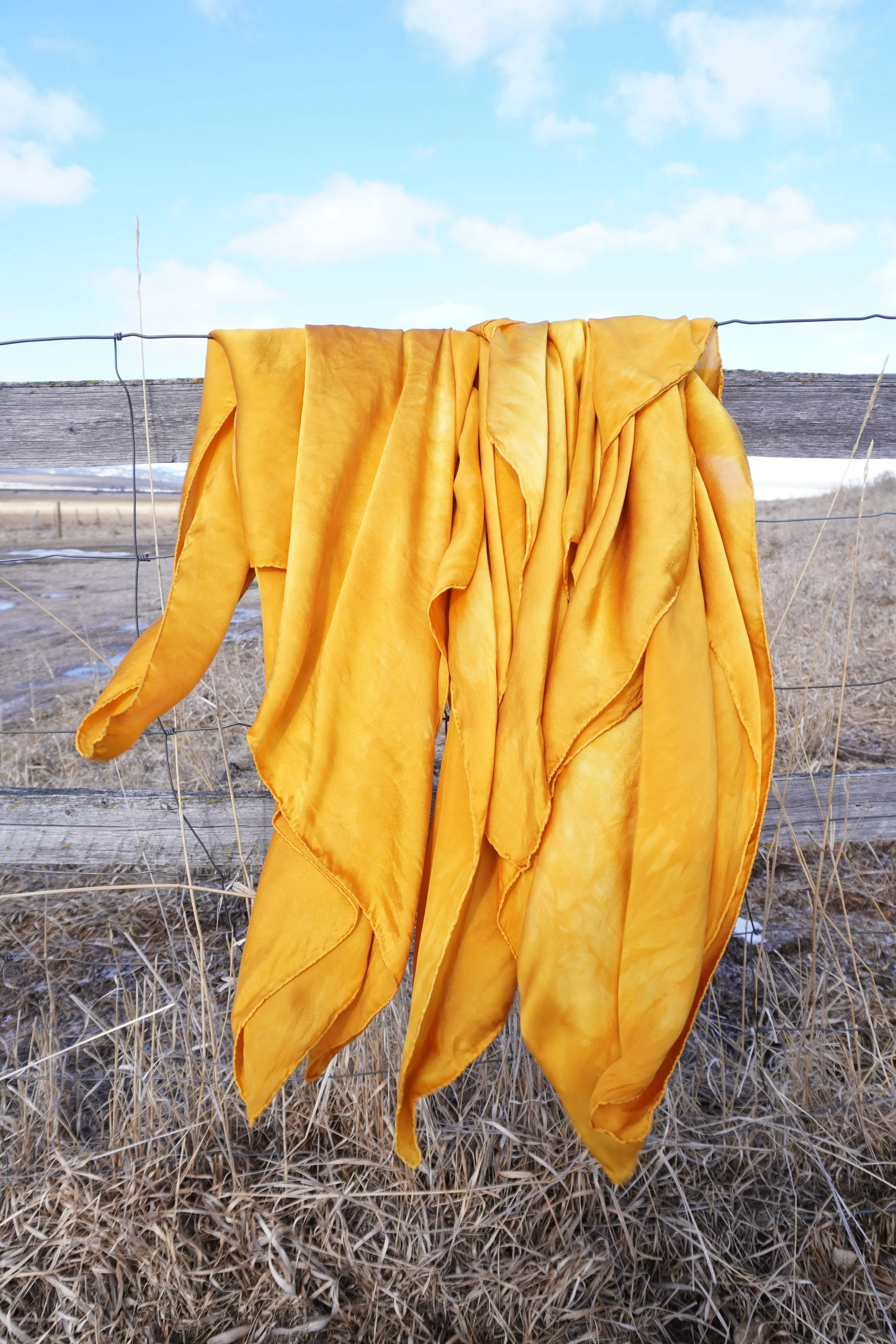 44" Sunshine Wild Rag