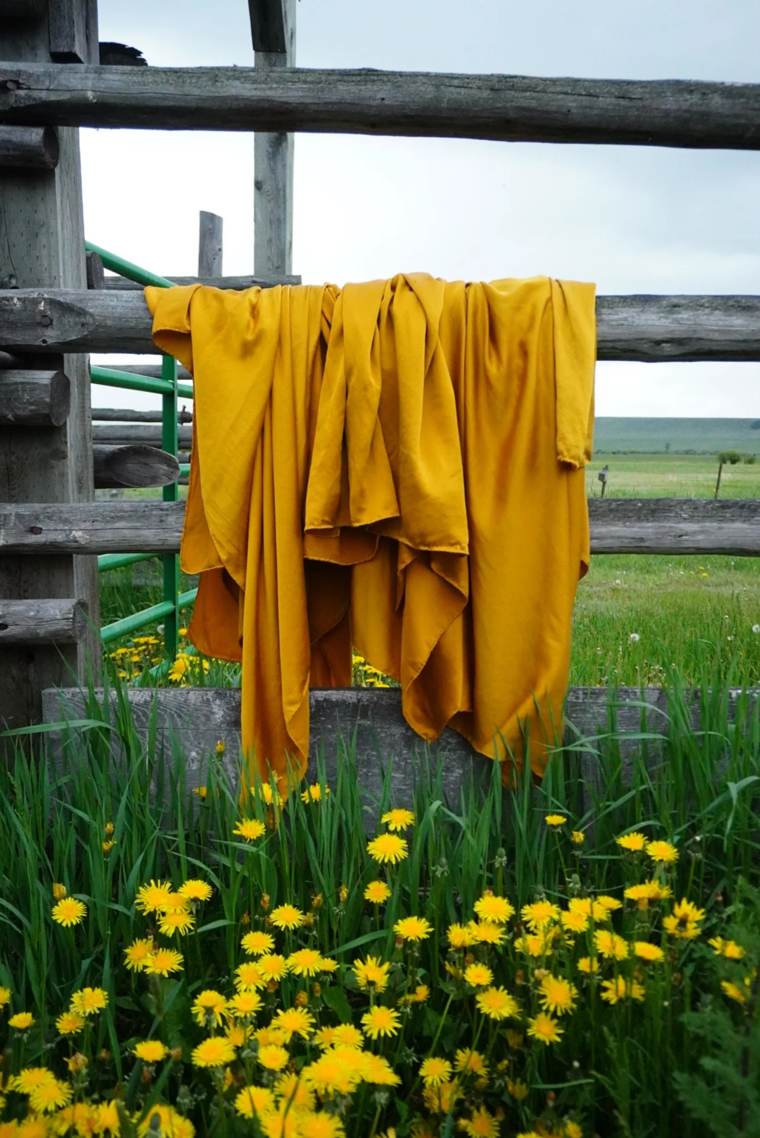 35" Marigold Wild Rag