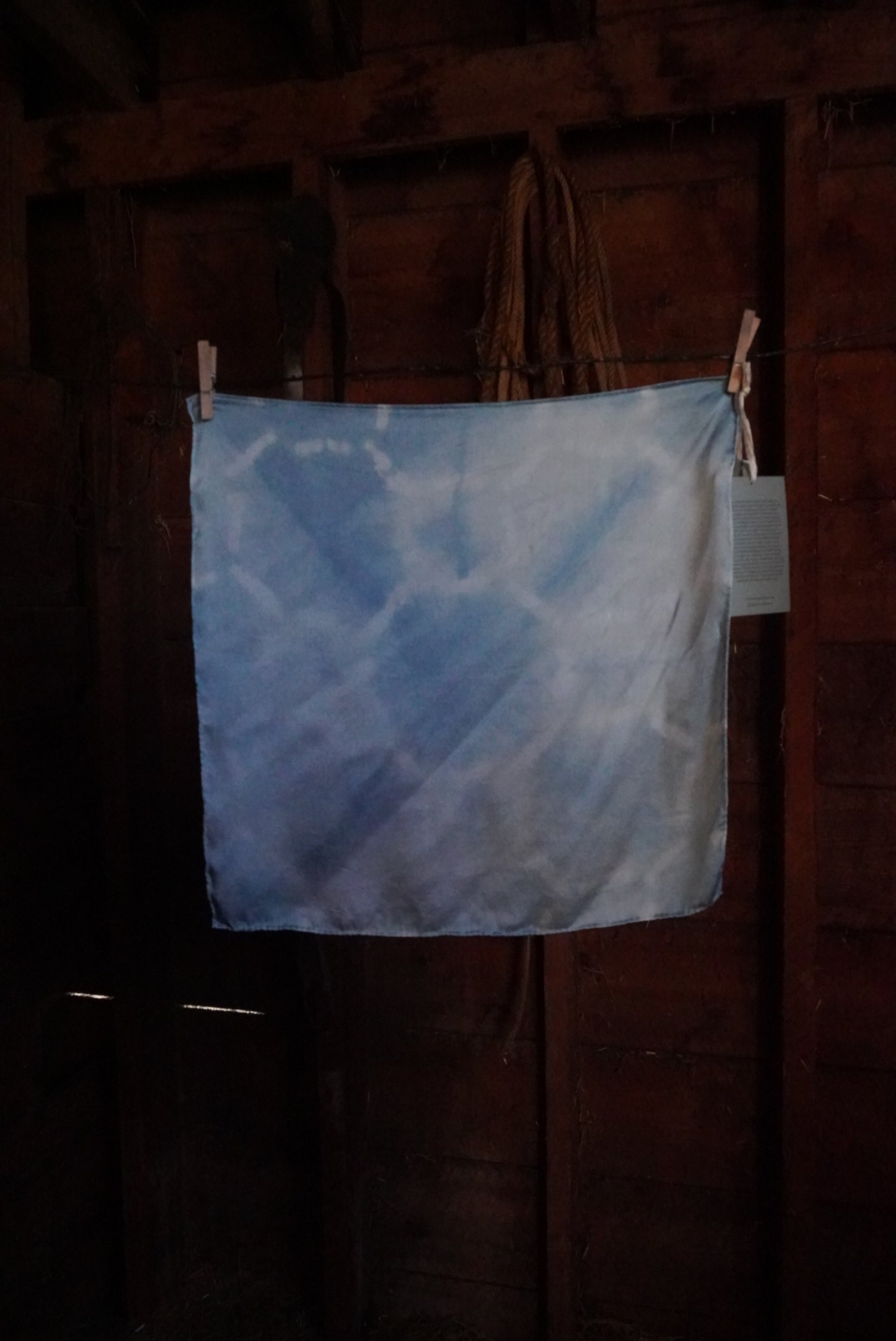 Marbled Sky Harvest Bandana XI