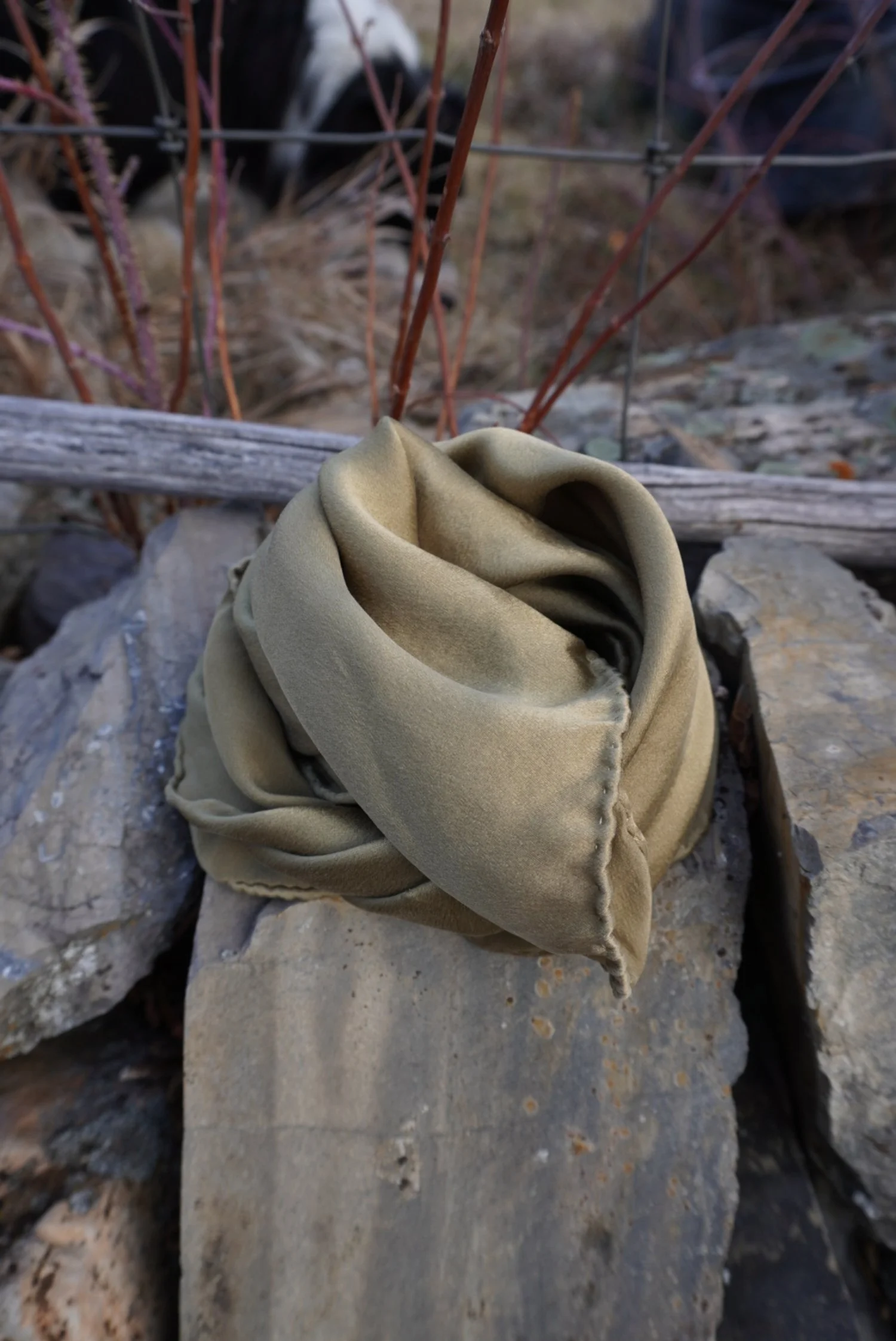 Sage Harvest Bandana