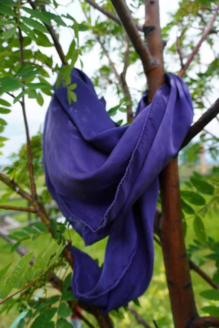 35"  Violet Wild Rag
