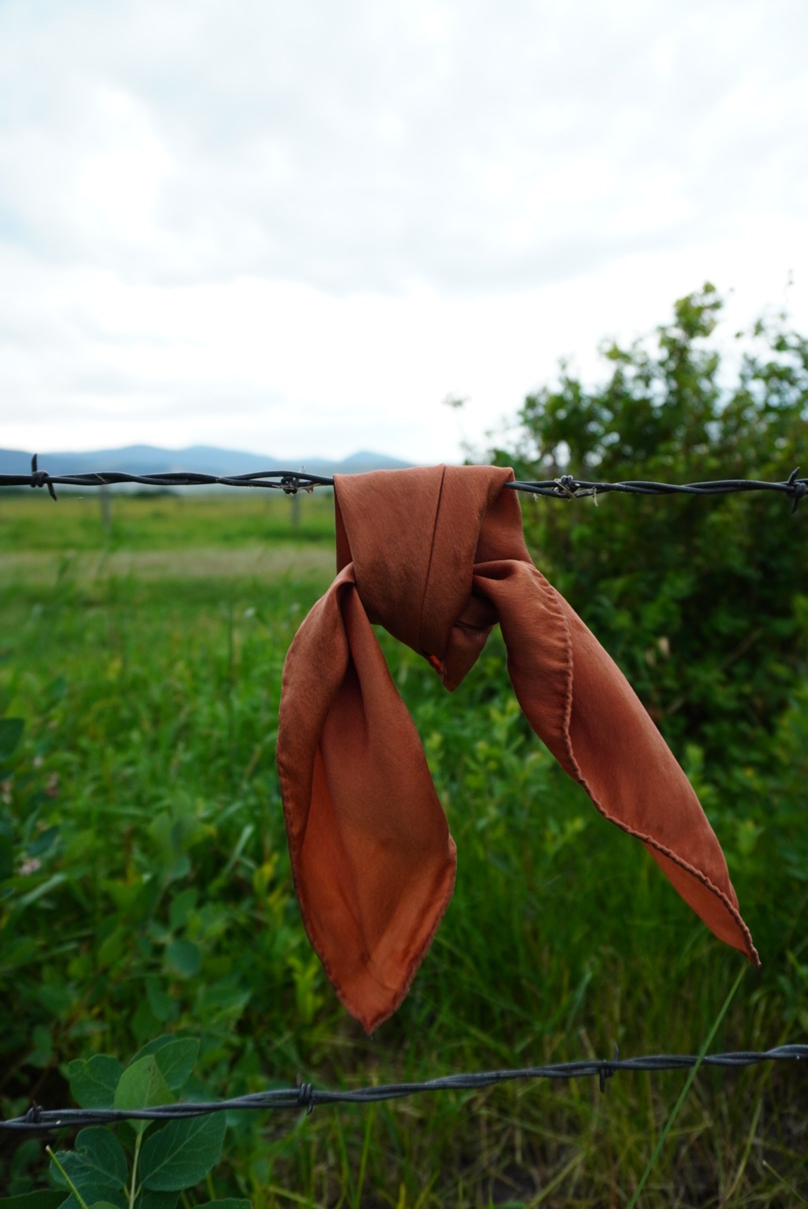 Mahogany Rust Harvest Bandana