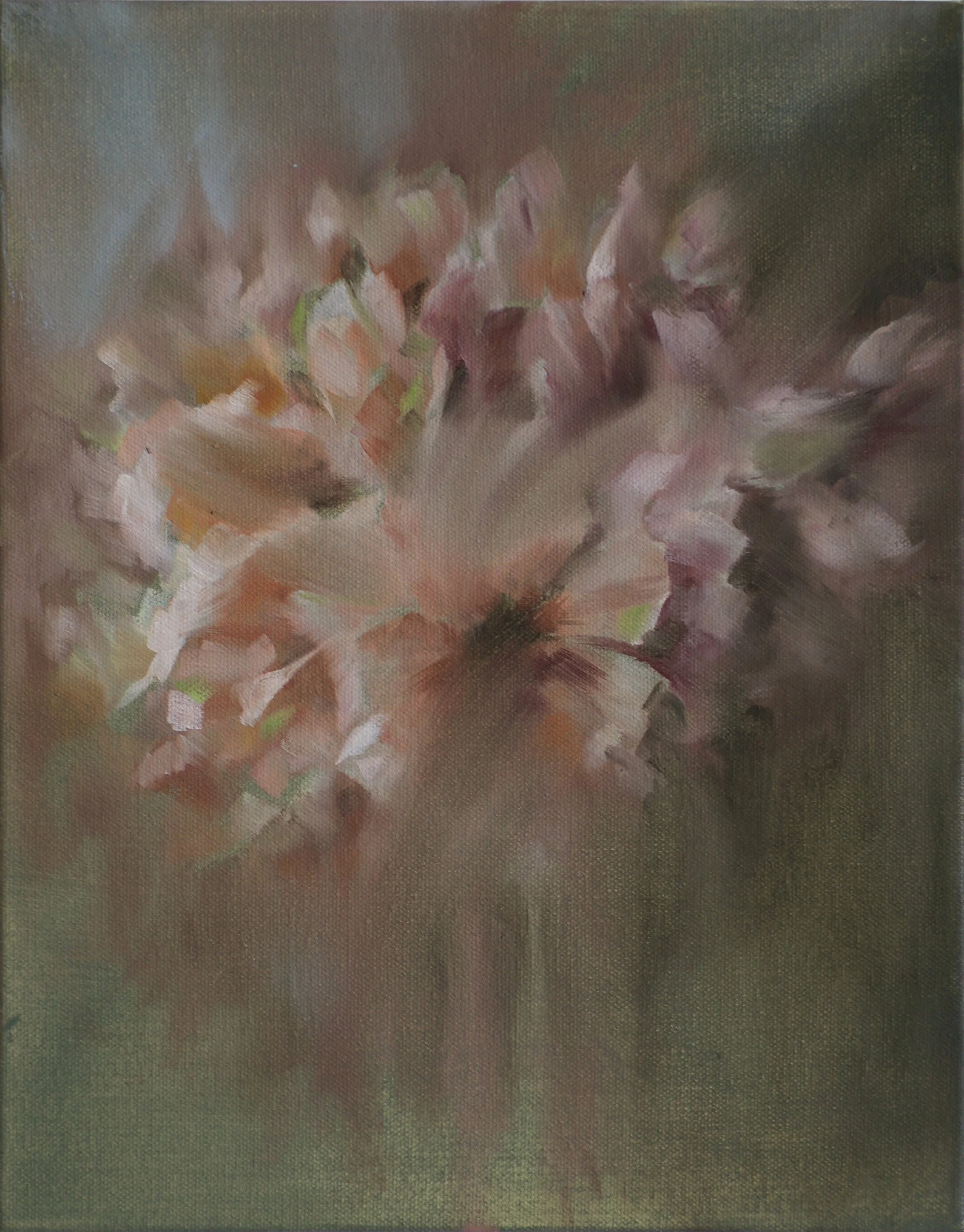 amaryllis full.jpg