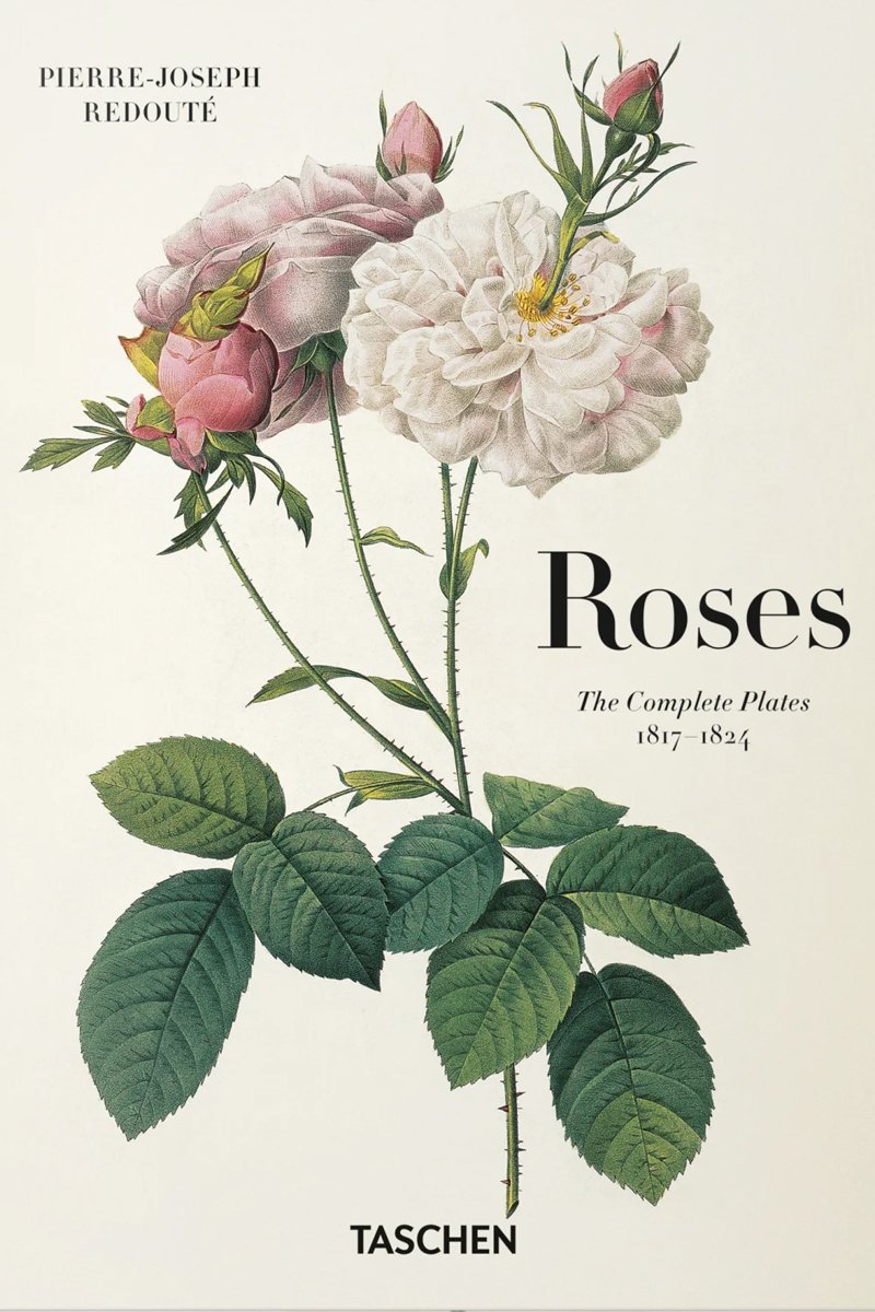 Redoute Les Roses Plates.jpg