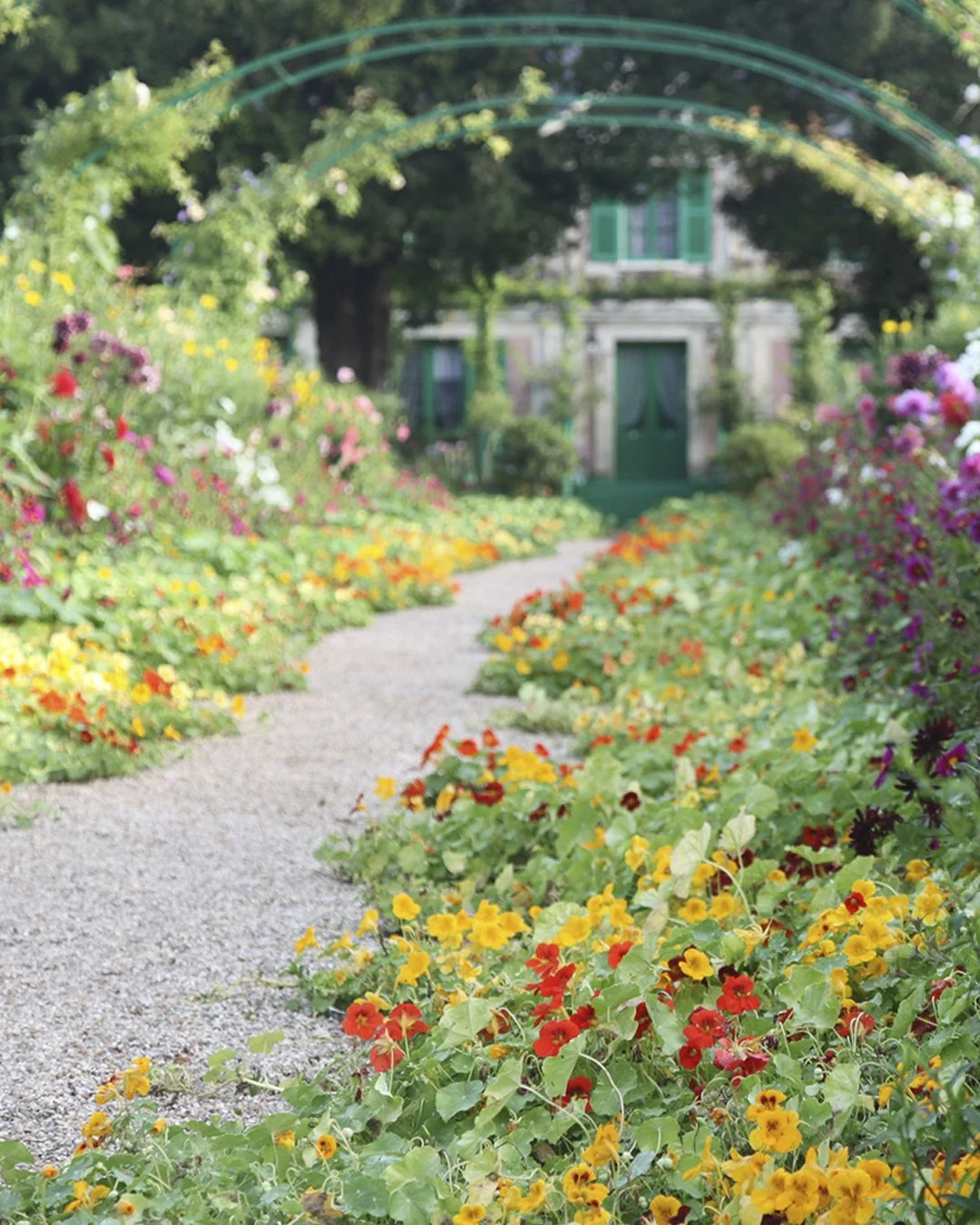 Monet Nasturtiums 2 Giverny.jpg