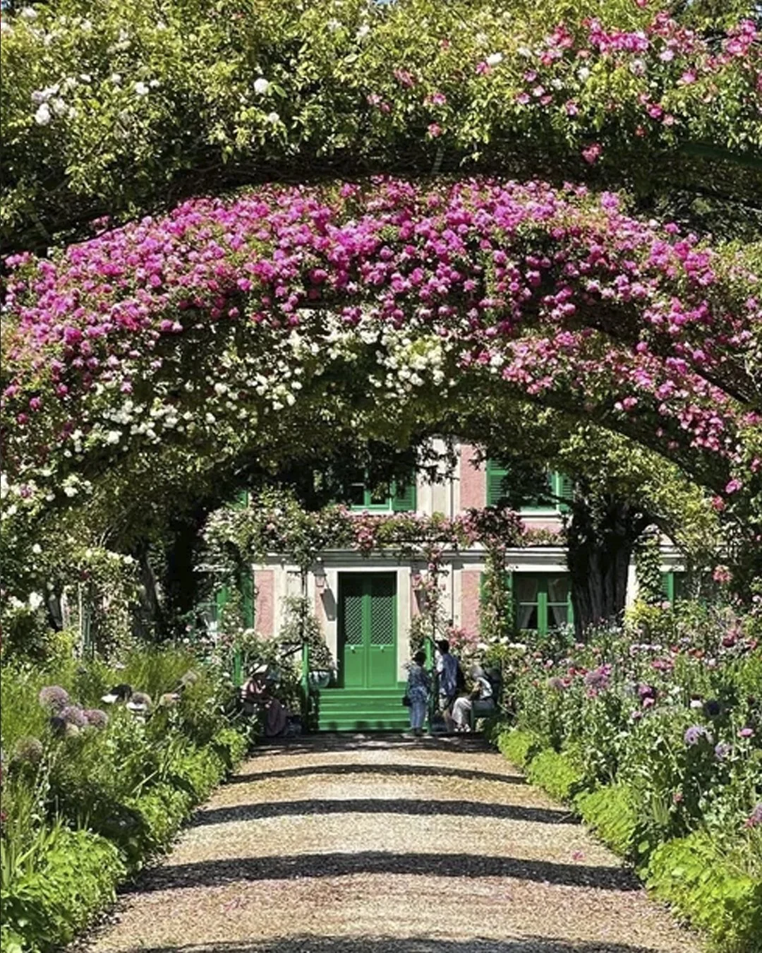 Monet Roses3 Giverny.jpg