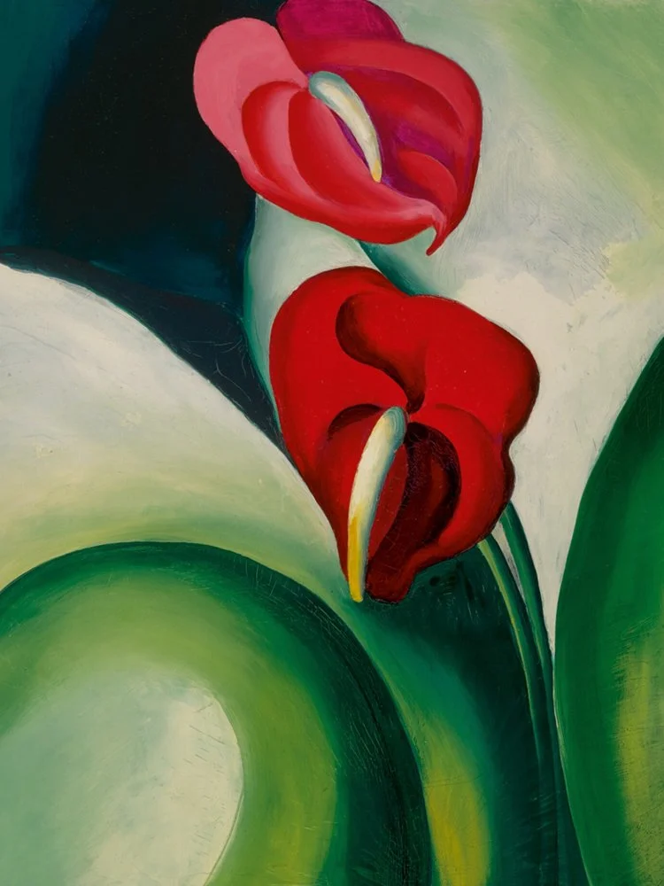 Georgia OKeeffe Anthurium, 1923.jpg