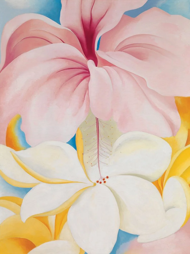 Georgia OKeeffe Hibiscus with Plumeria 1939.jpg