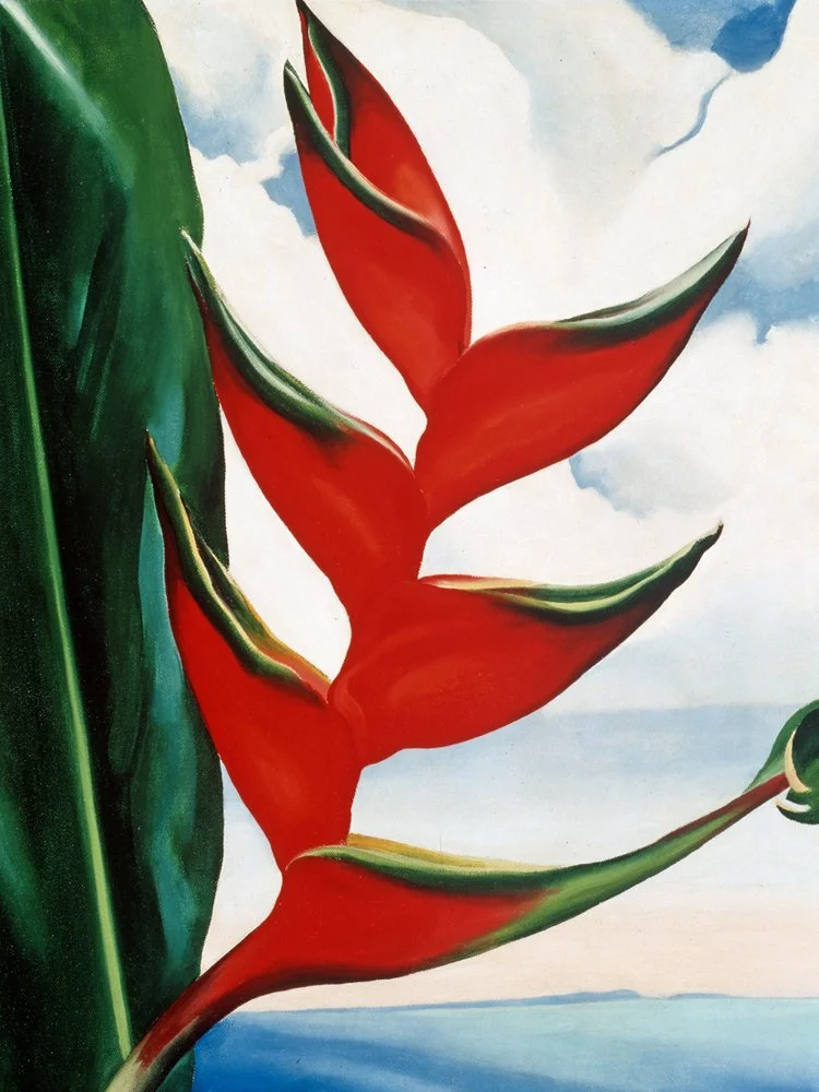Georgia OKeeffe Crabs Claw Ginger 1939.jpg