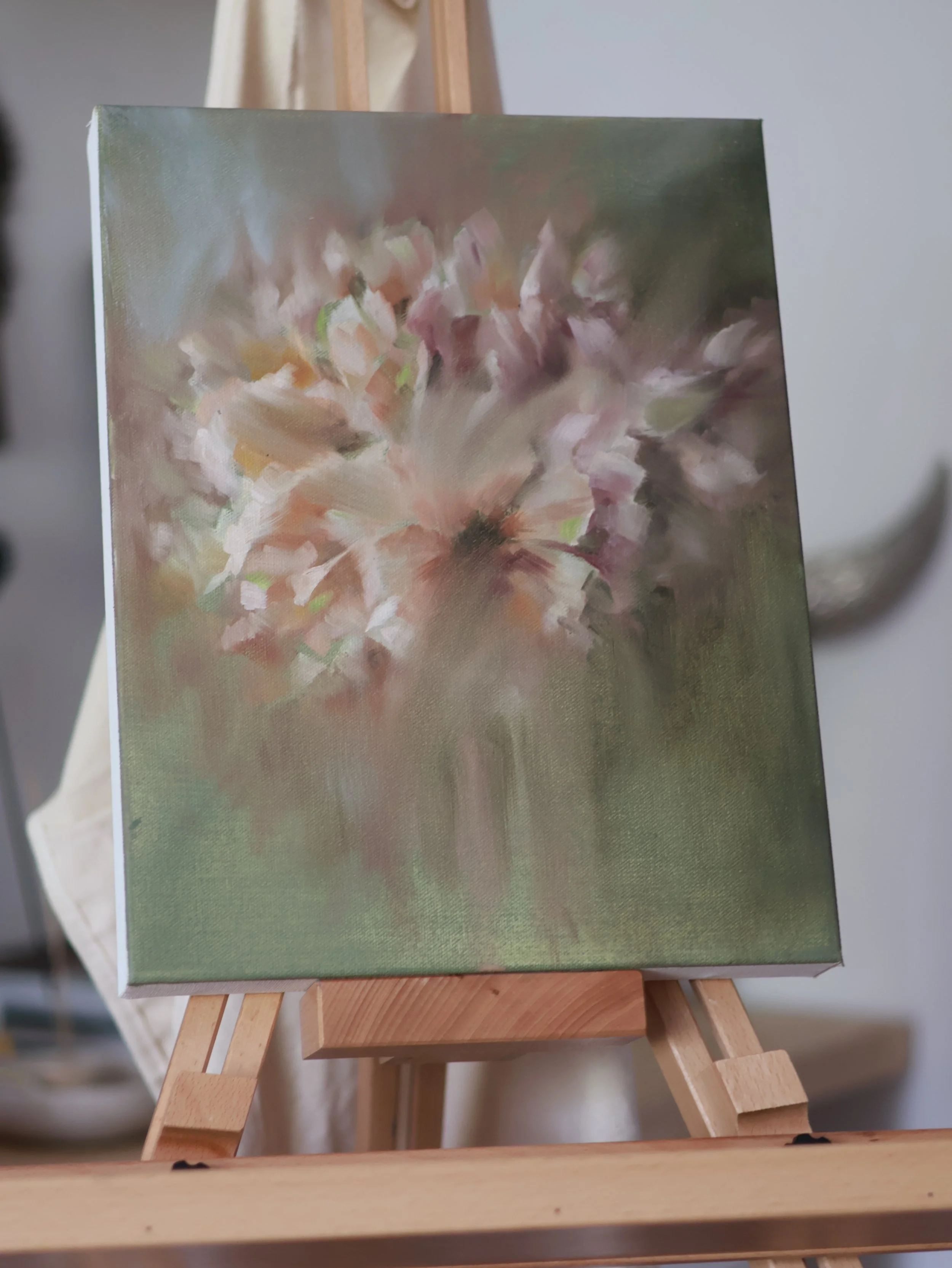 Amaryllis