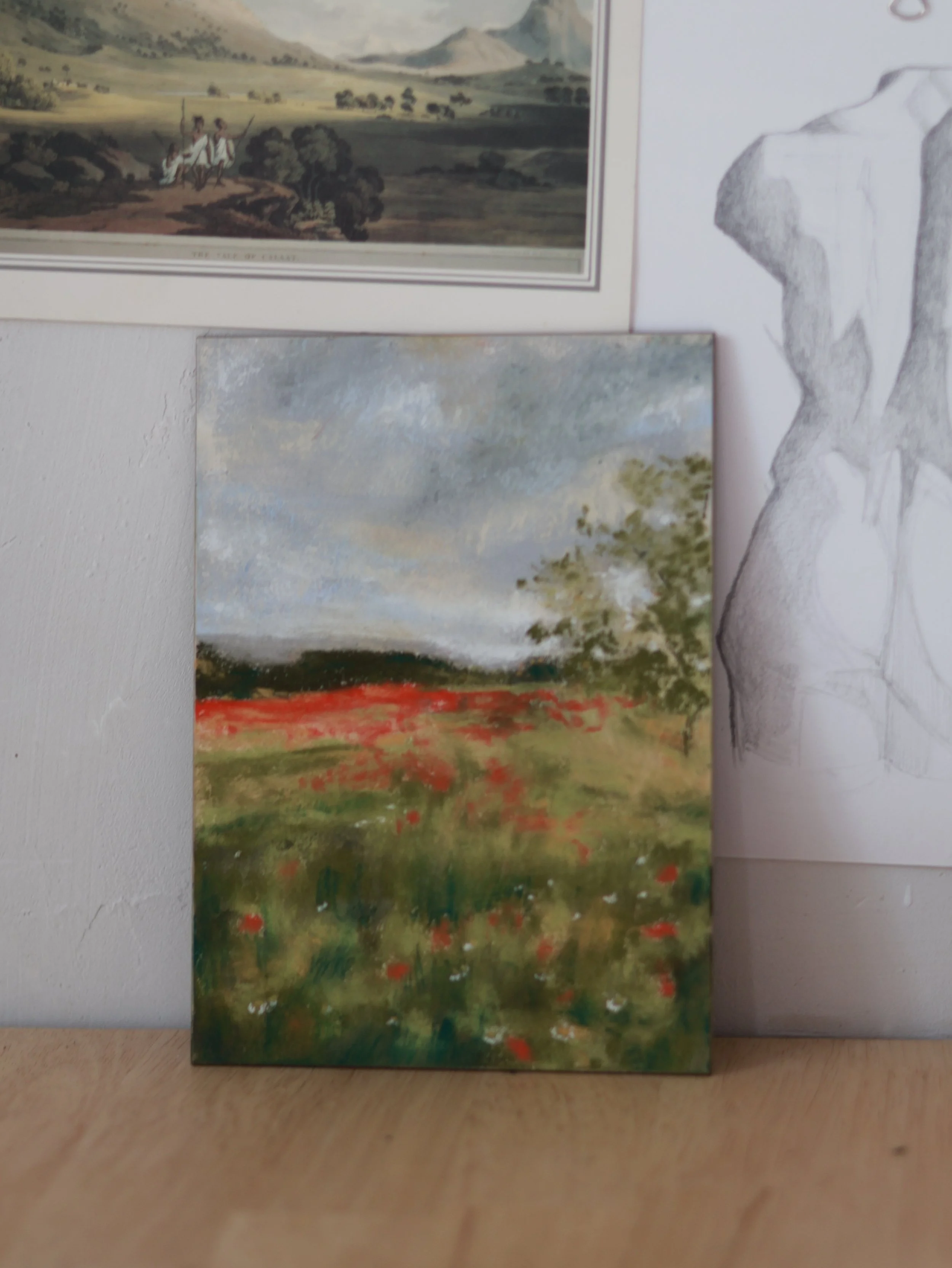 Poppy Field Pastel