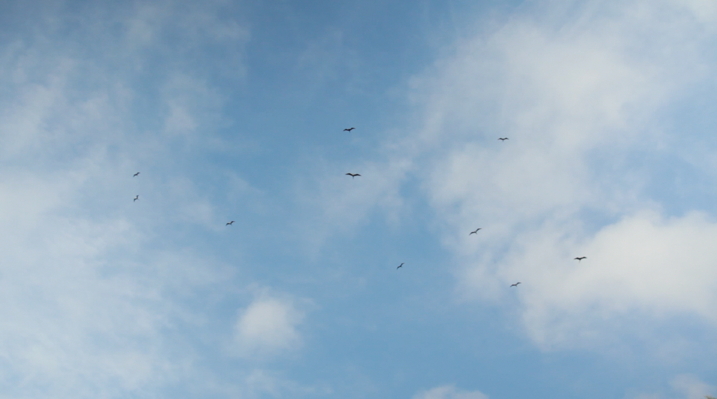 Screenshot 2026-01-17 at 11.15.49 AM.png