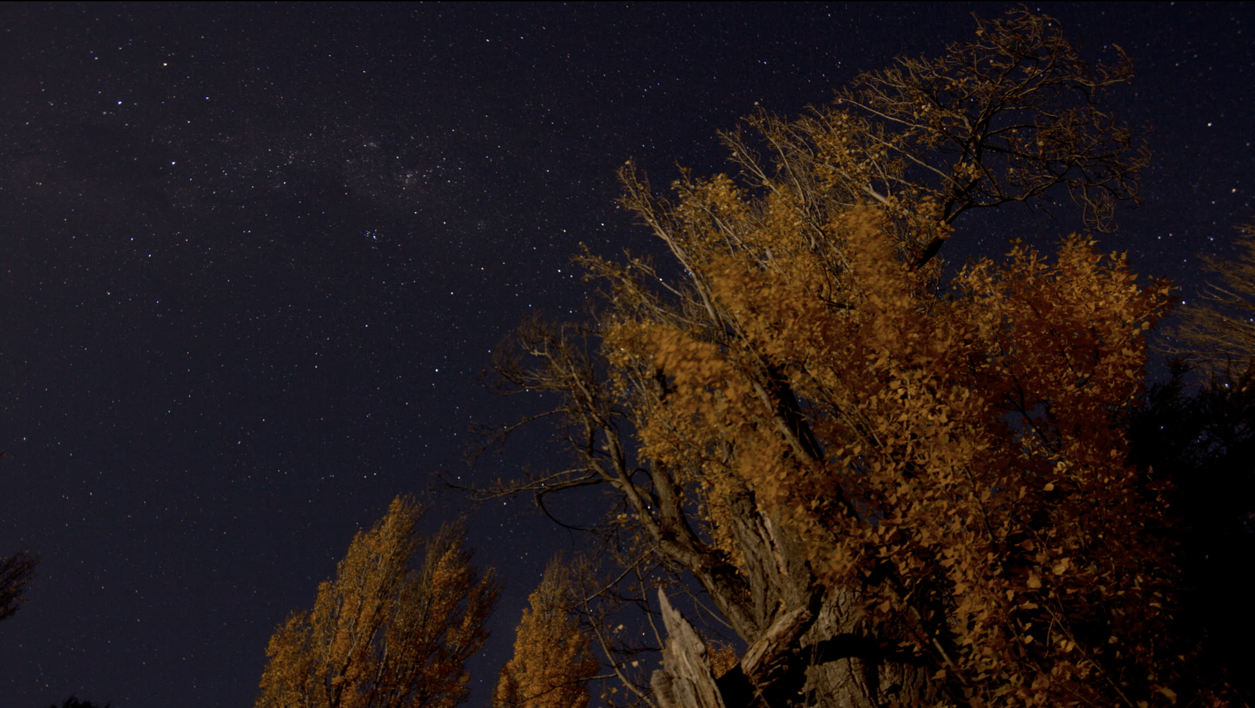 Screenshot 2026-03-02 at 11.26.45 AM.png