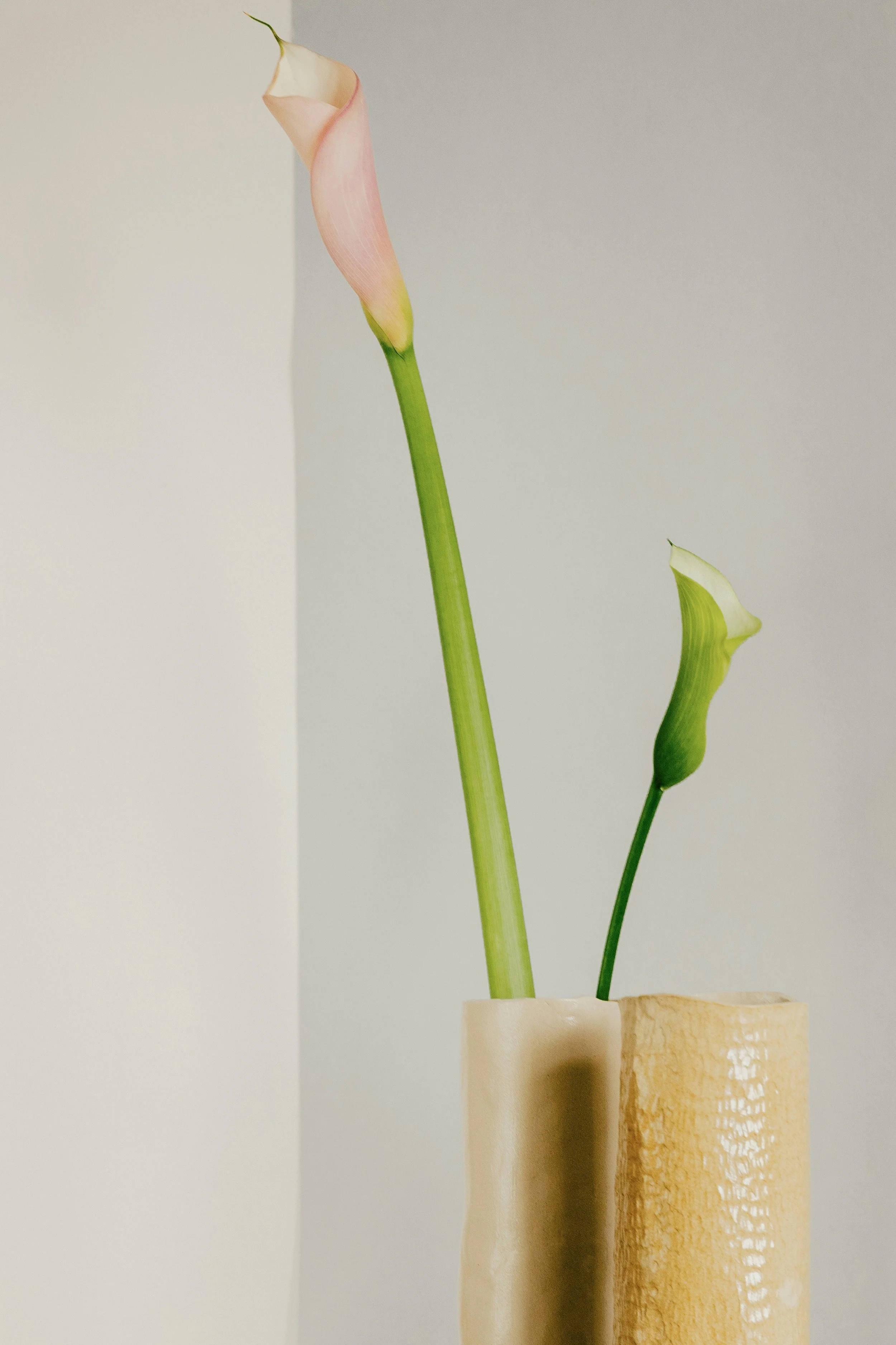 Bringing Your Offering