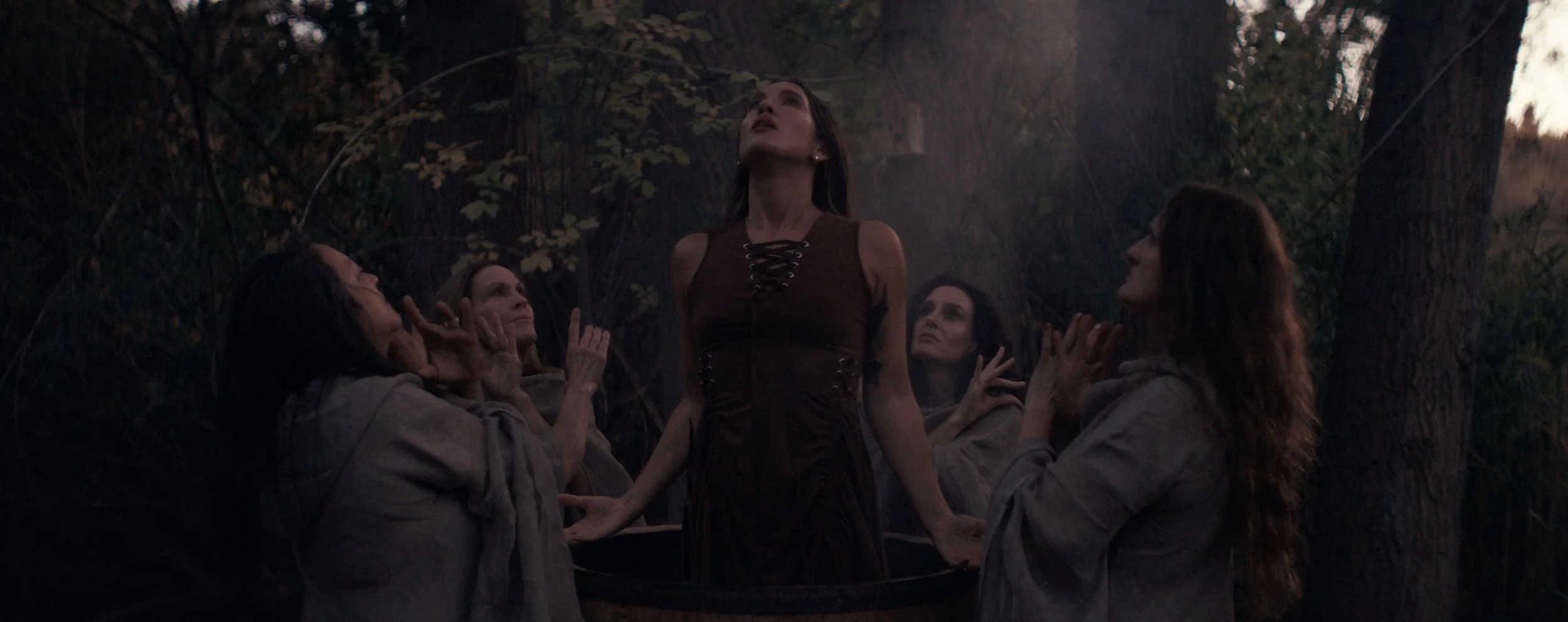 The Witch of Wander Lane