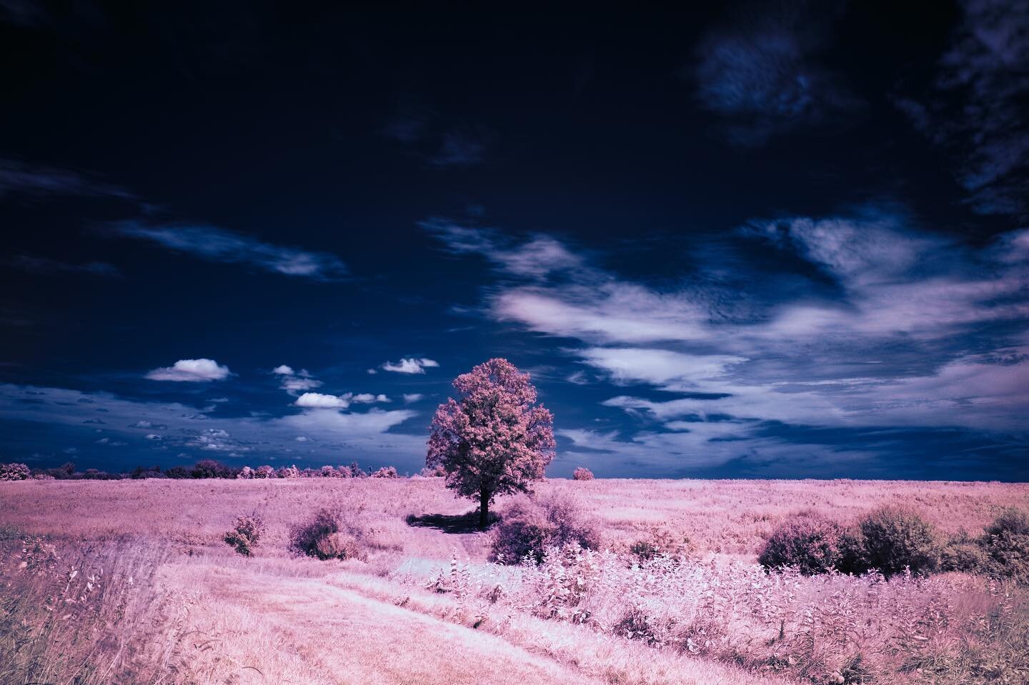 Happy Landings
Brookfield, CT
#cutroadphoto #infrared #infraredphotography #happylandings #fujifilm #fujixt4