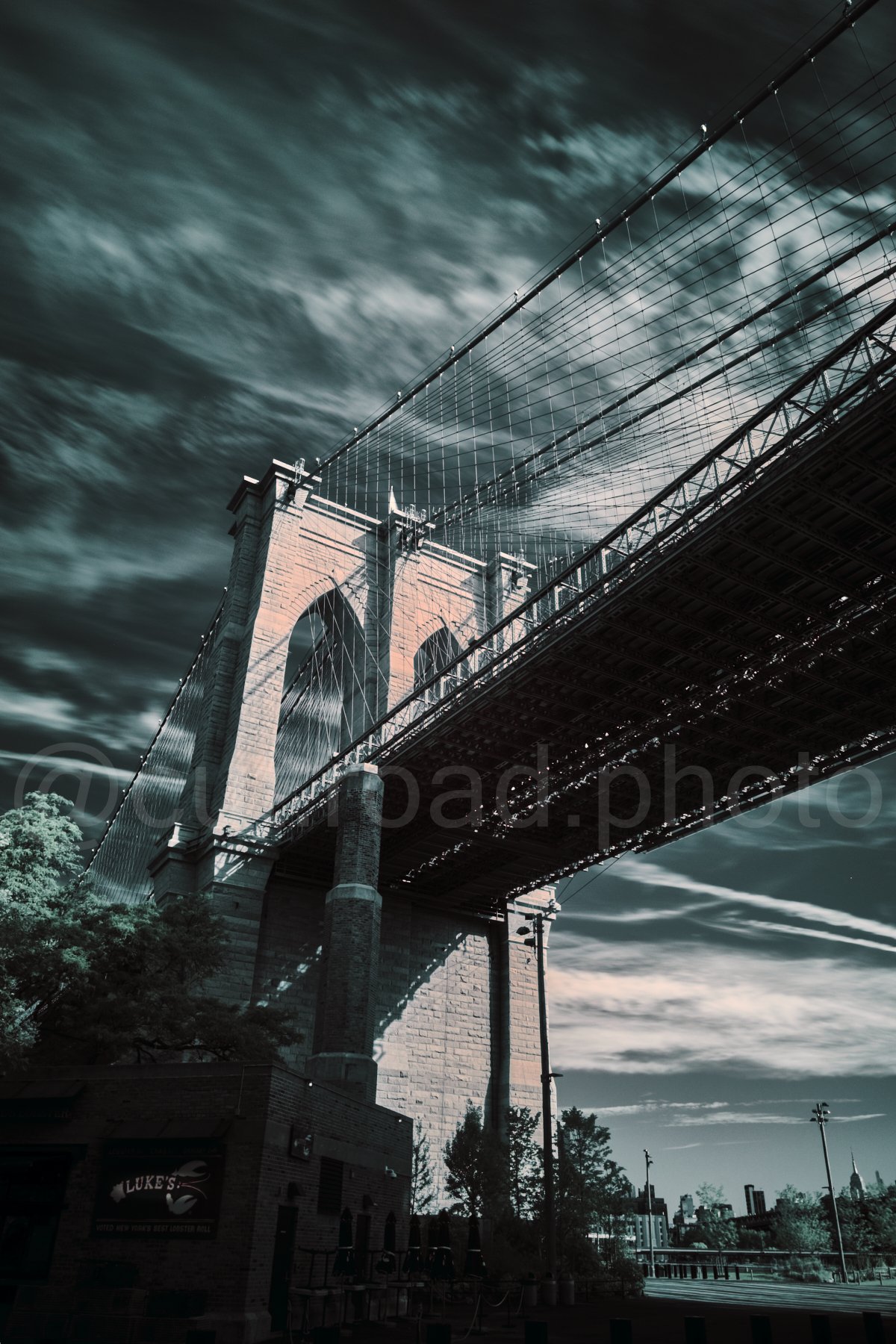 _XT42028-Edit 2.jpg