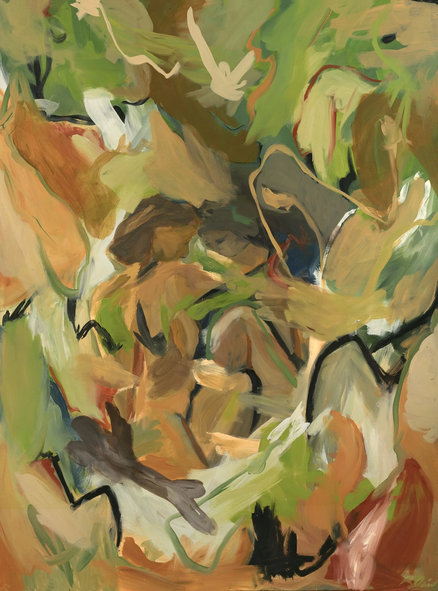 NeverSeen_Print_ColourCorrected.jpg