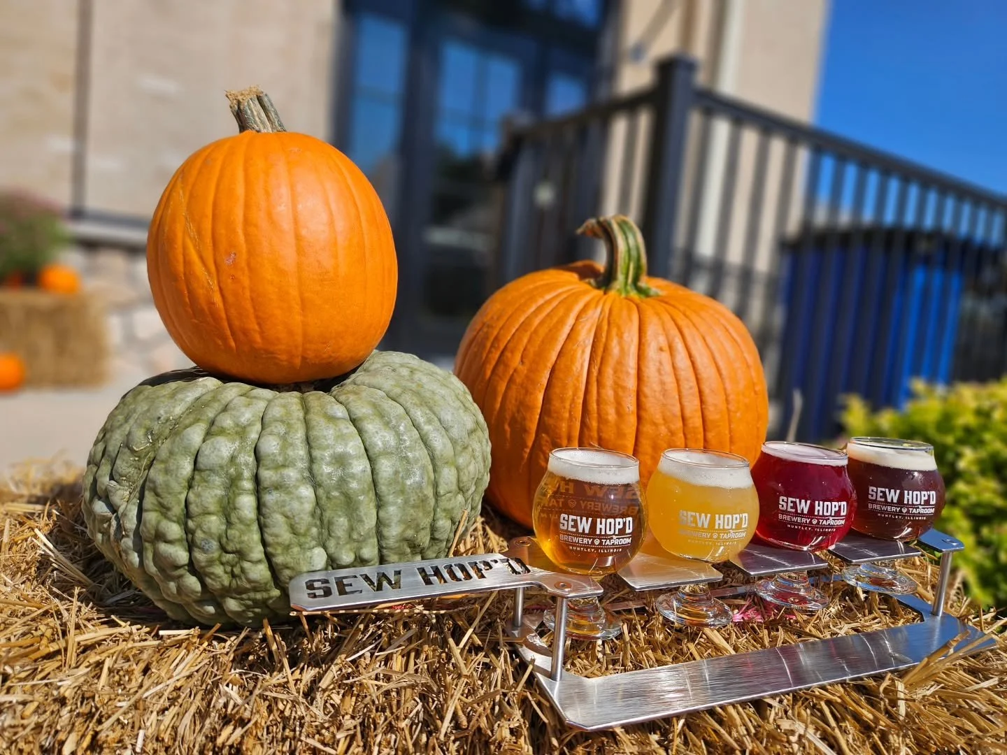 Welcome to the weekend, Sew Hop’d fam! 🙌🏻
We’re bringing Flight Friday back on this sunny, crisp fall day! You know the drill — 4 tasters, 5 oz each, and your pick from our 20 beers currently on draft. Build your perfect lineup: