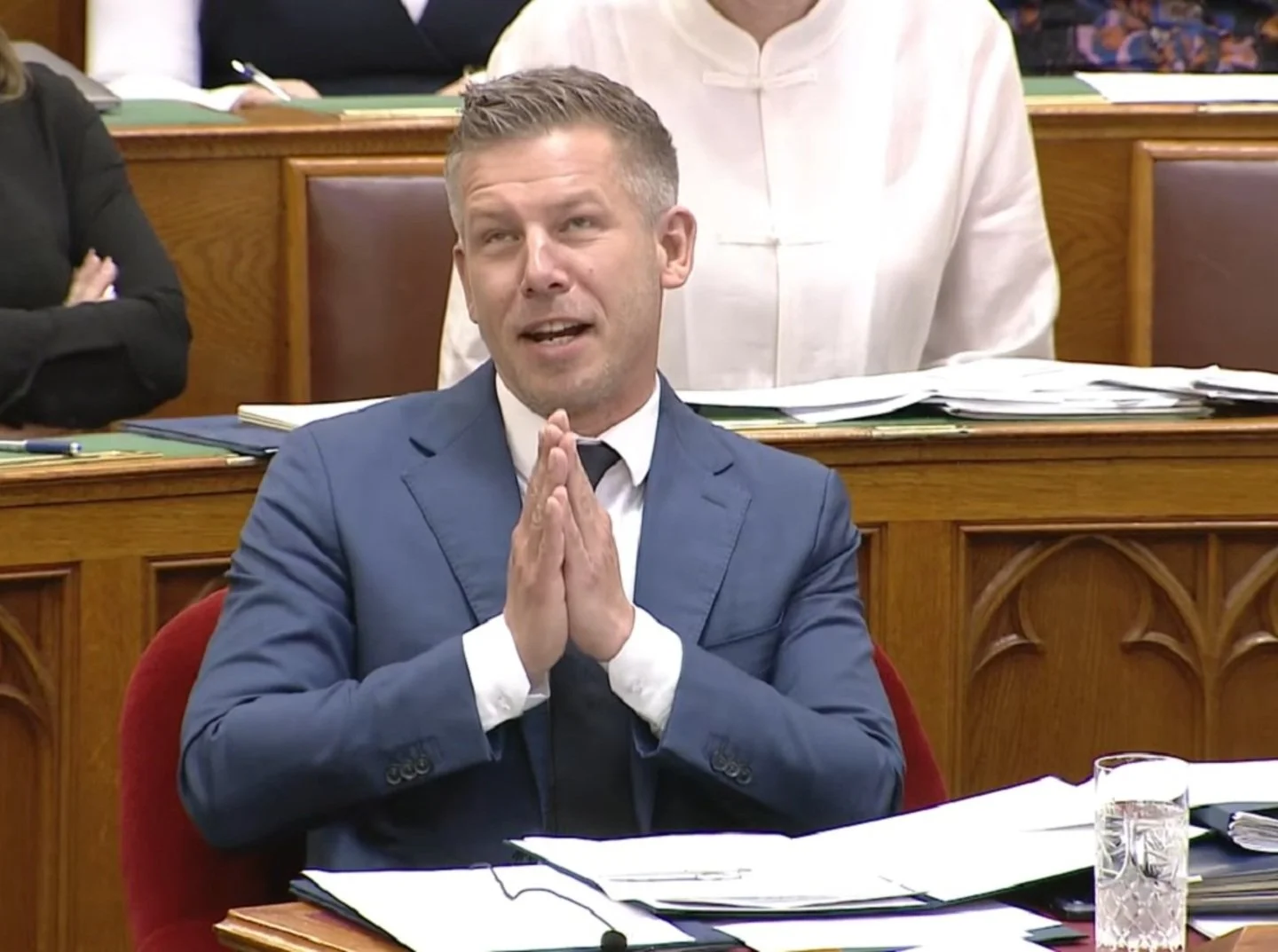 A demokratikus felhatalmazás – Magyar Péter módra (Demokrata)