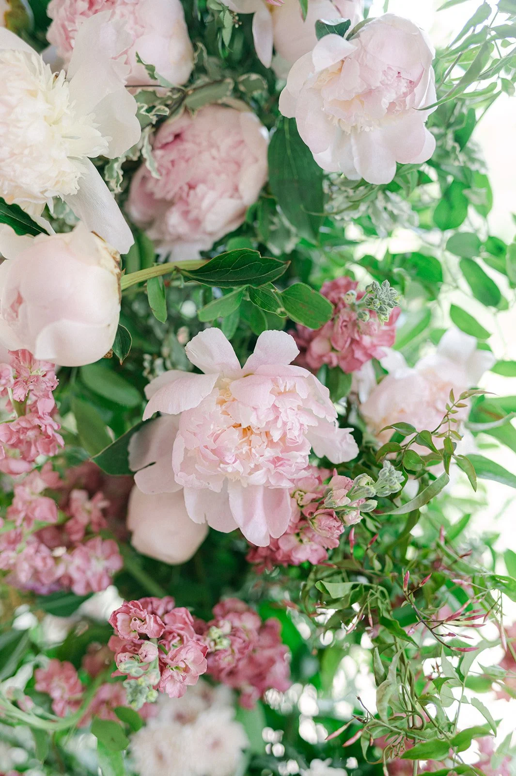 Cara and Michael-443.jpg