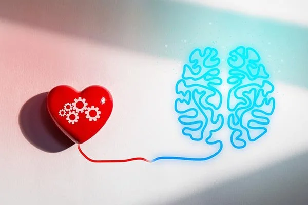 heart connected to brain