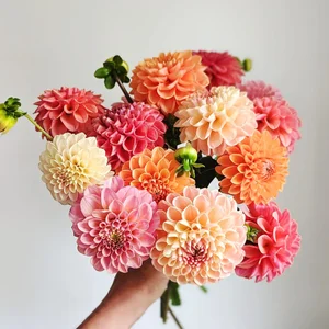 Jenny Creek Flowers Bouquets, Workshops & U-Pick near Ithaca