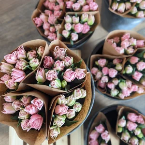 Jenny Creek Flowers - Beautiful Cut Flowers & Dahlia Tubers(08)