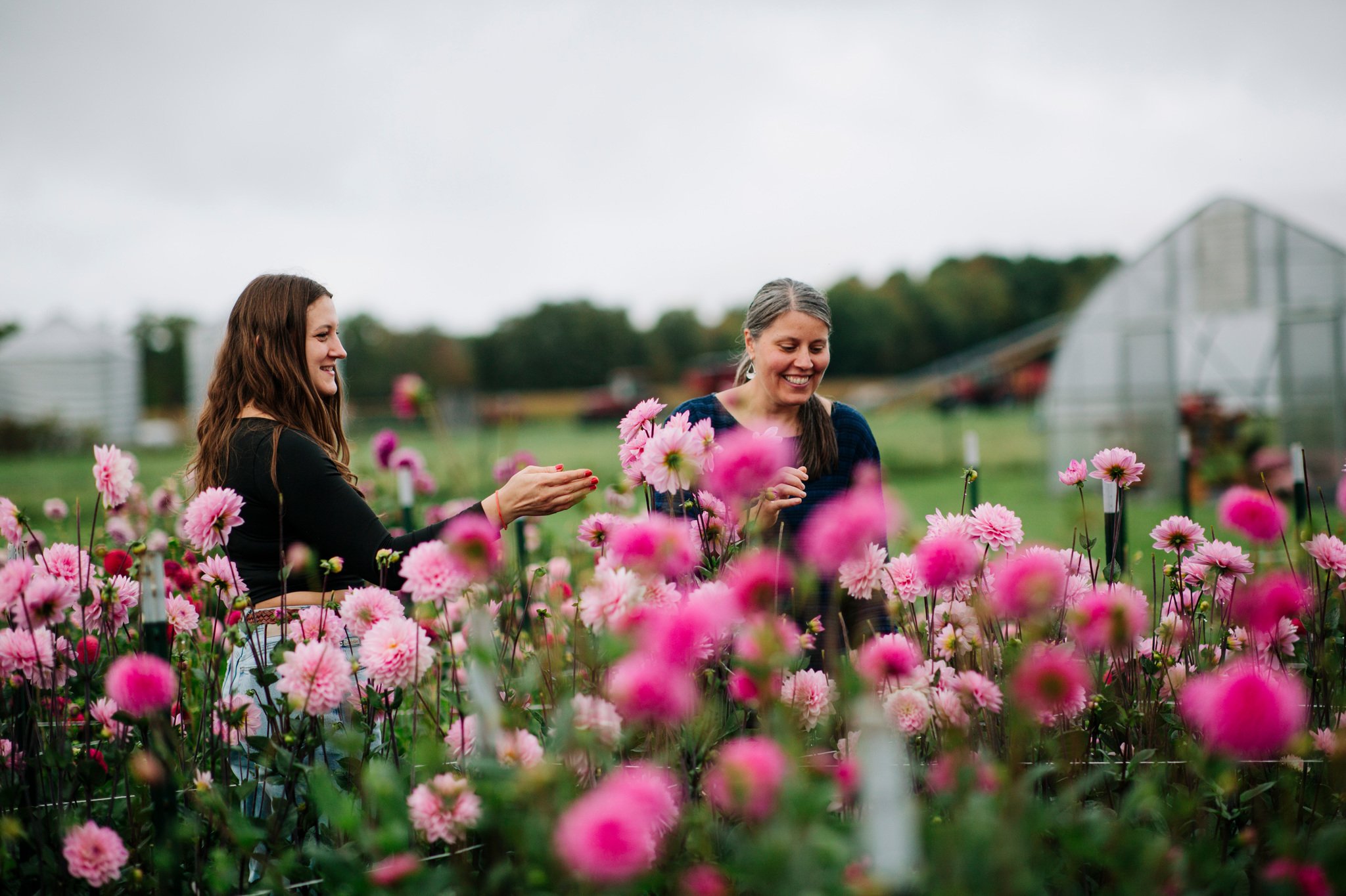 0131_Jenny_Creek_Flowers_WS.jpg