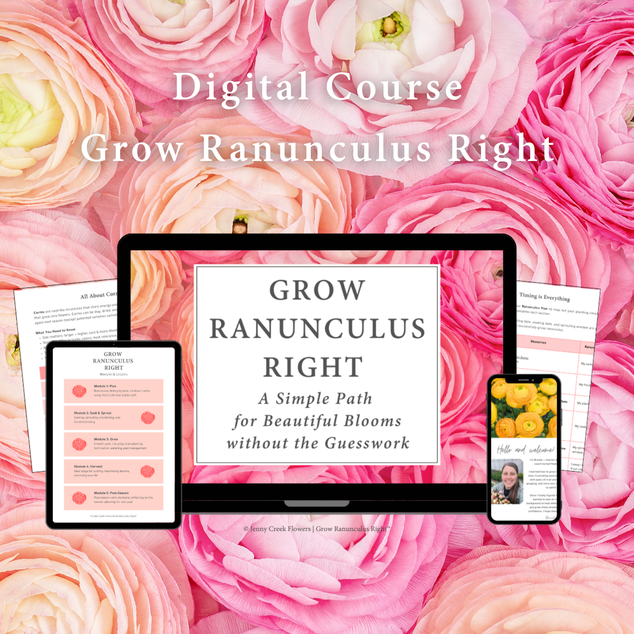 Background of pink and peach ranunculus flowers with white overlay text that reads 'Digital Course Grow Ranunculus Right.' Several digital devices, including tablets and smartphones, displaying course content in front of the flowers.