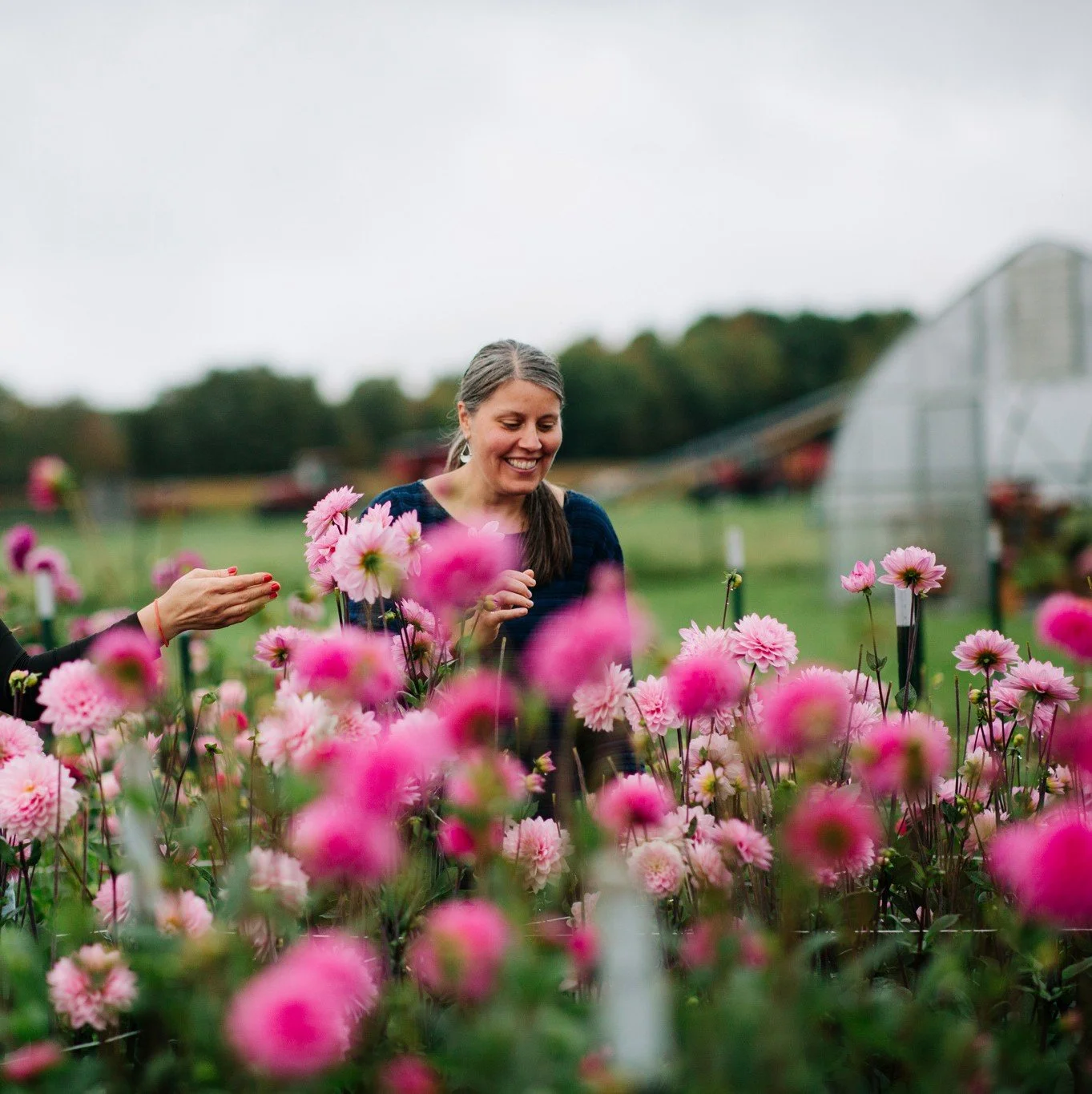 0131_Jenny_Creek_Flowers_WS (1)~2 (1).jpg