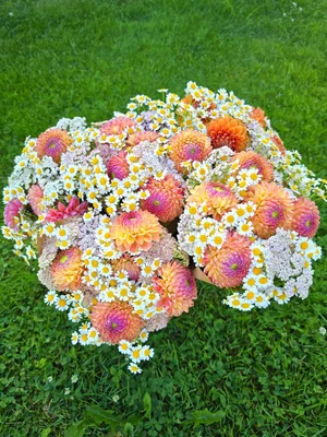 Jenny Creek Flowers Bouquets, Workshops & U-Pick near Ithaca(02)