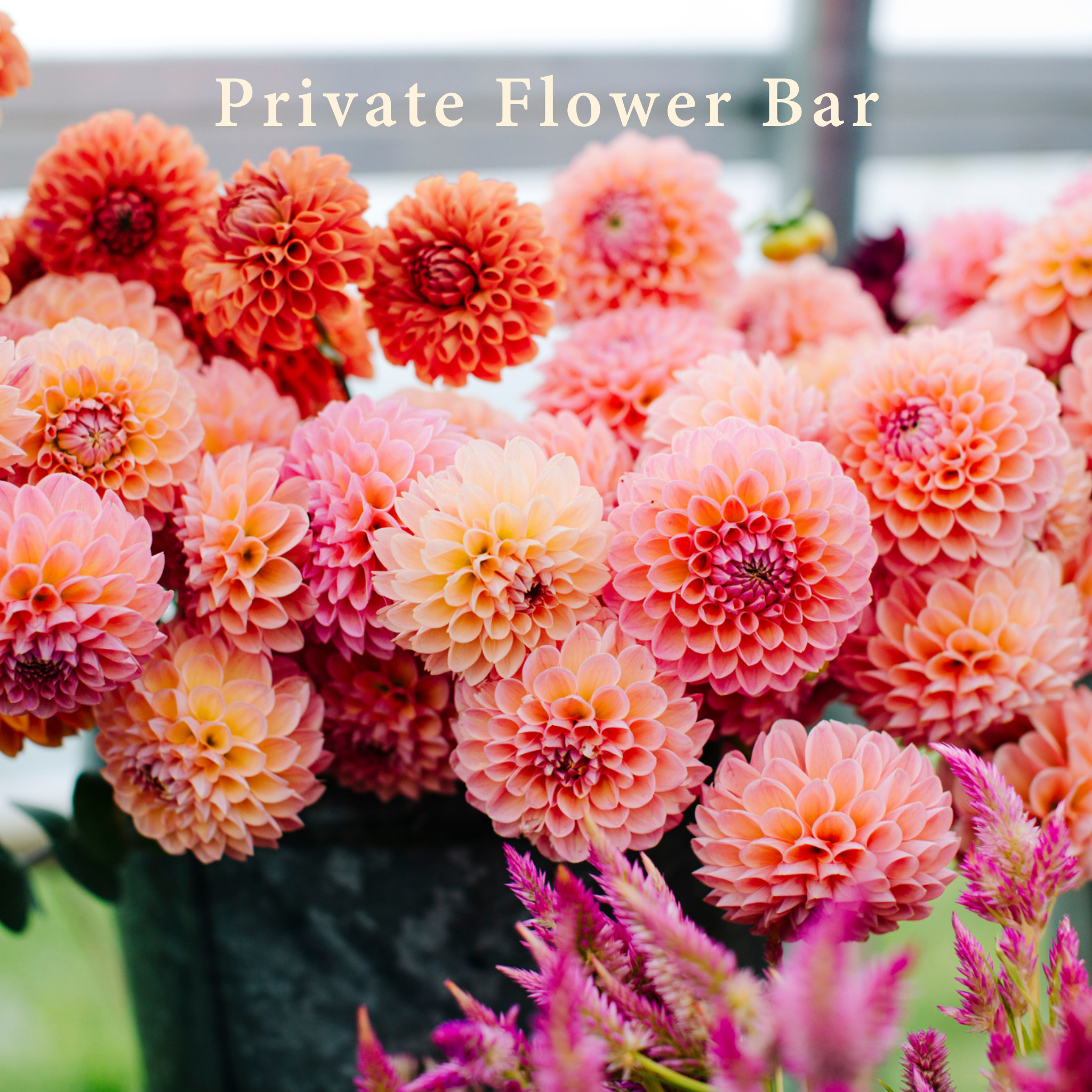 Private Flower Bar (4).png