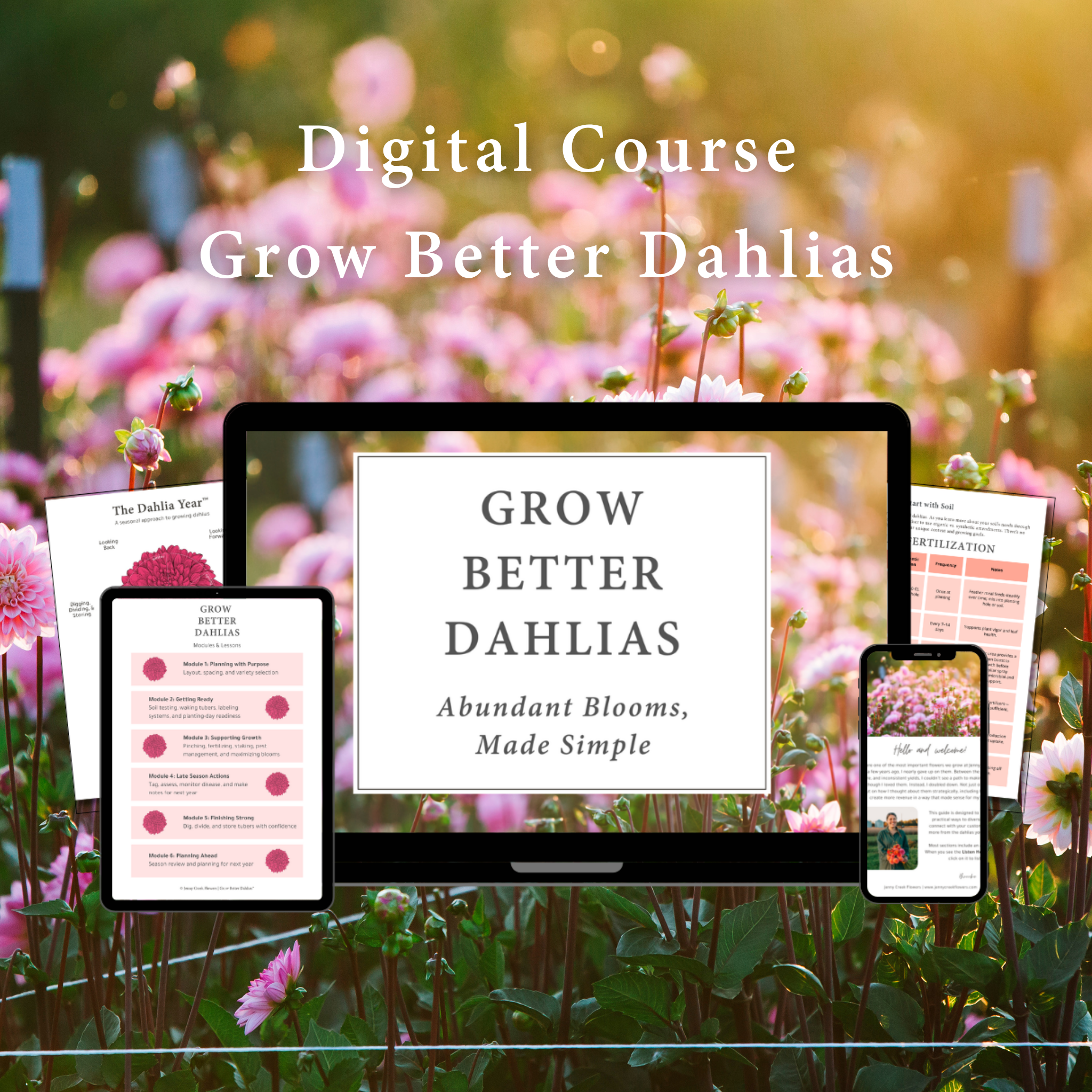 A digital course titled 'Grow Better Dahlias' is displayed on a laptop, tablet, and smartphone among pink dahlia flowers and green foliage, with a warm sunlight background.