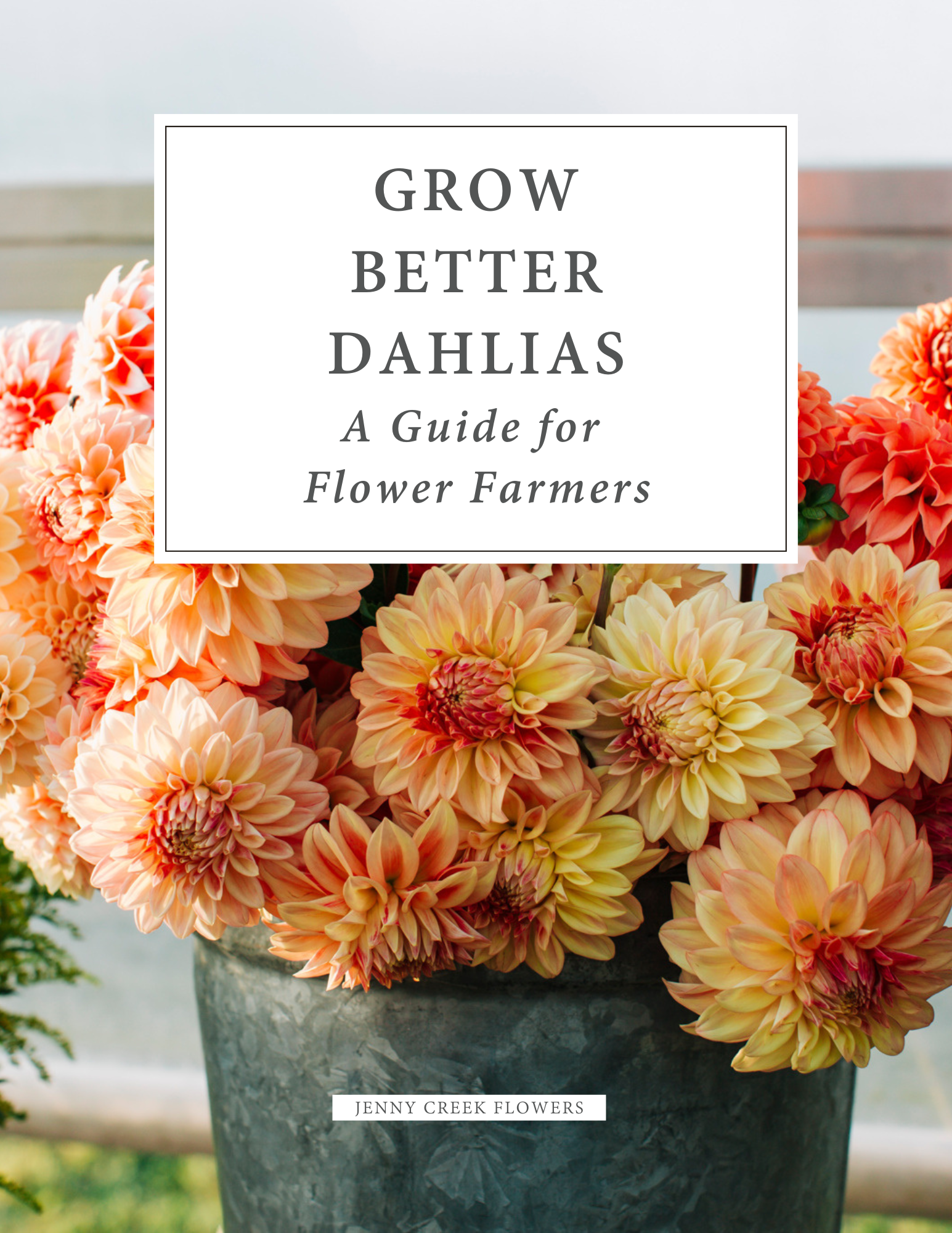 Grow Better Dahlias guide for flower farmers.png
