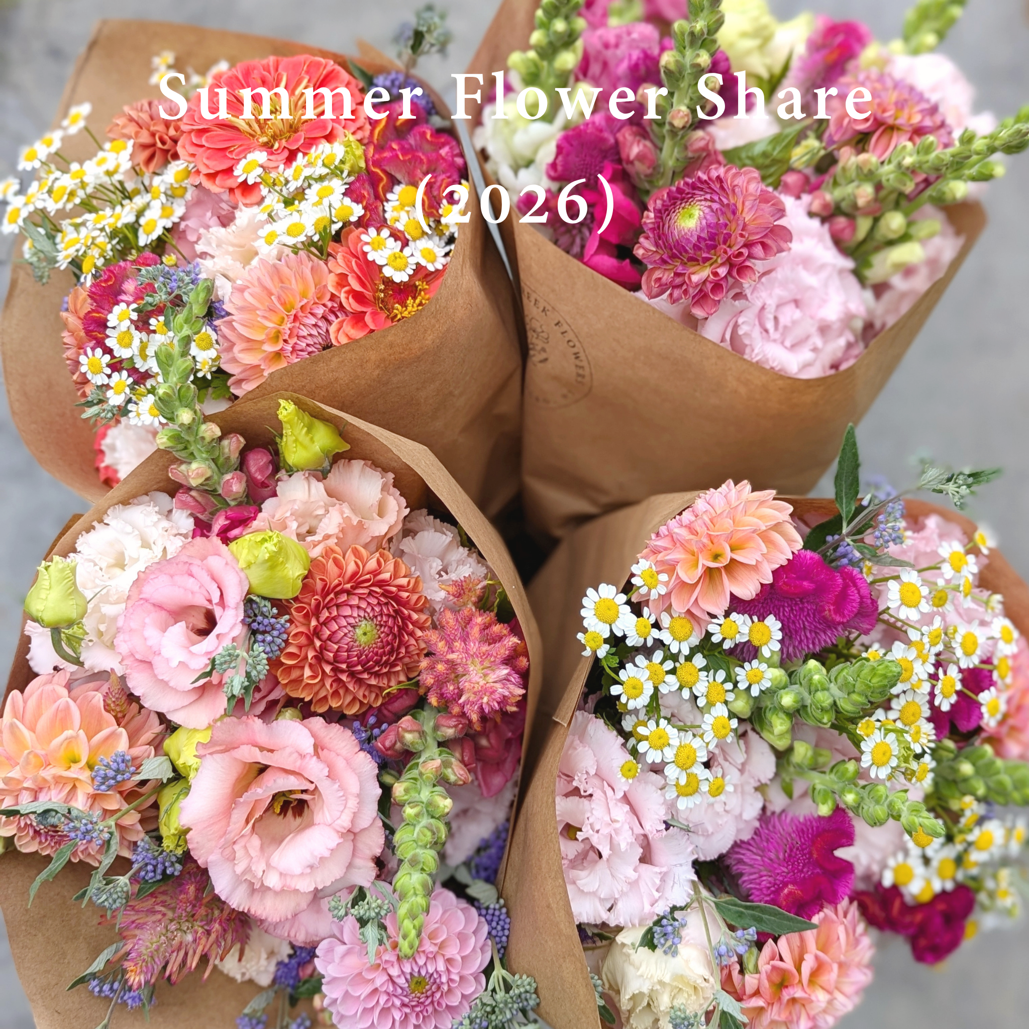 Summer Flower Share (2026)