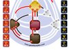 How to Work with Your Human Design Gates — Pure Generators