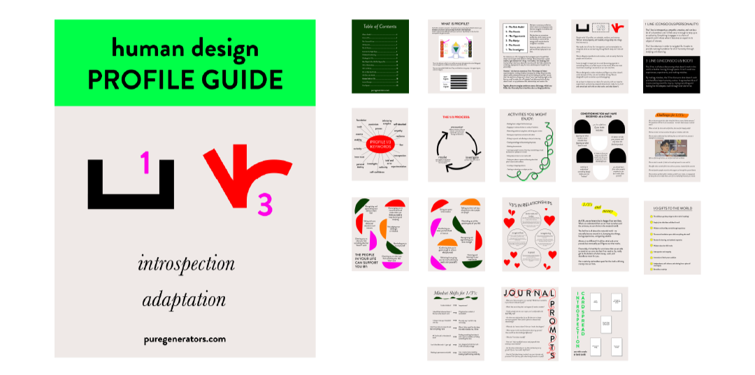 1/3 Profile Guide PDF