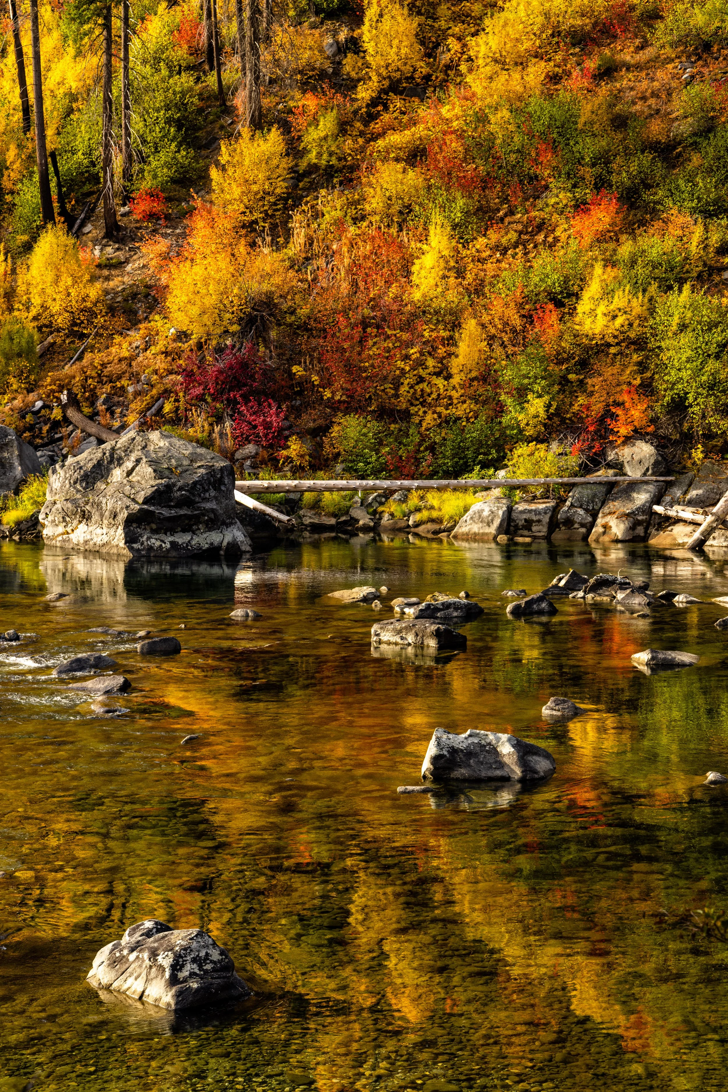 LakeWenatchee101621-7.jpg