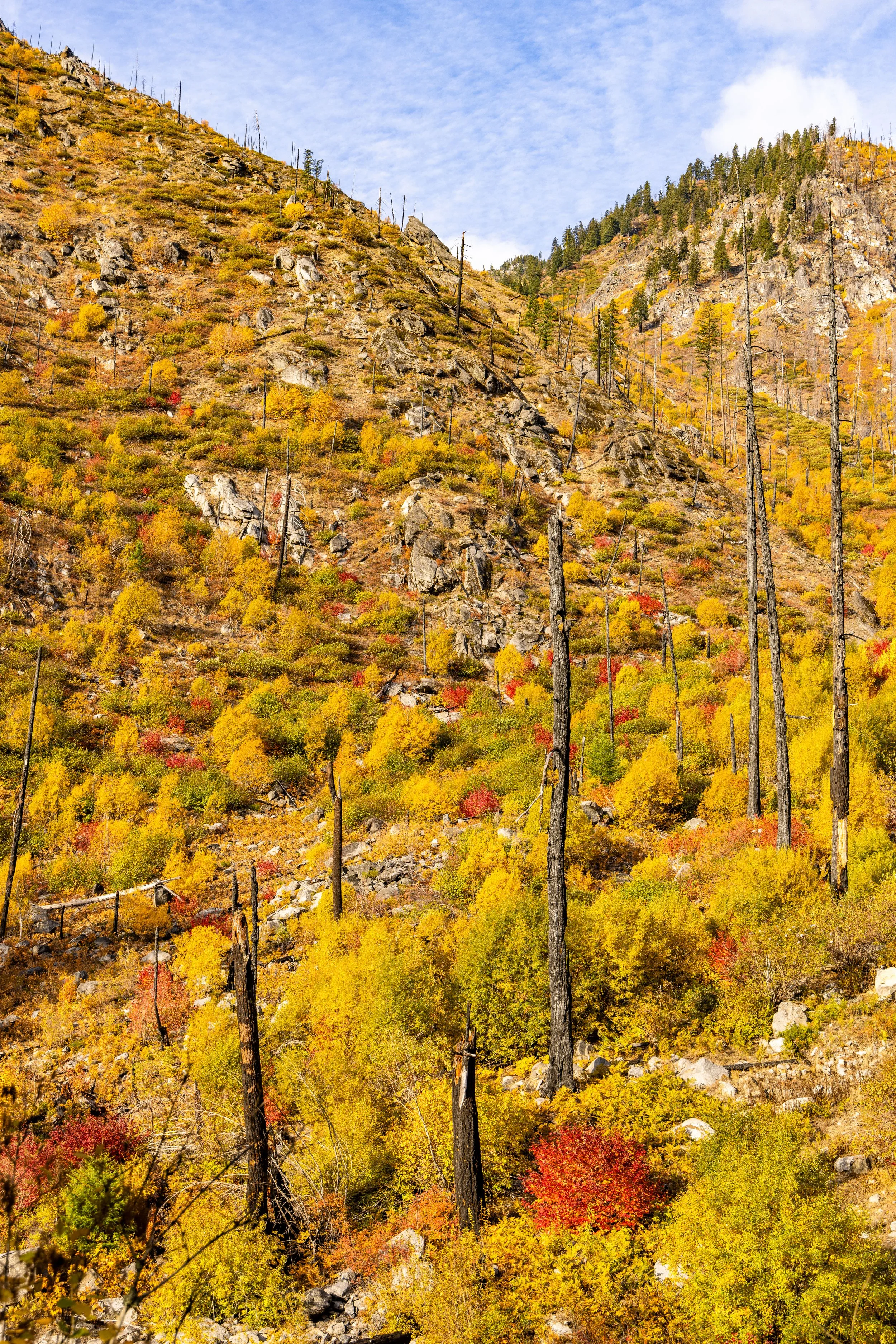 LakeWenatchee101621-6.jpg