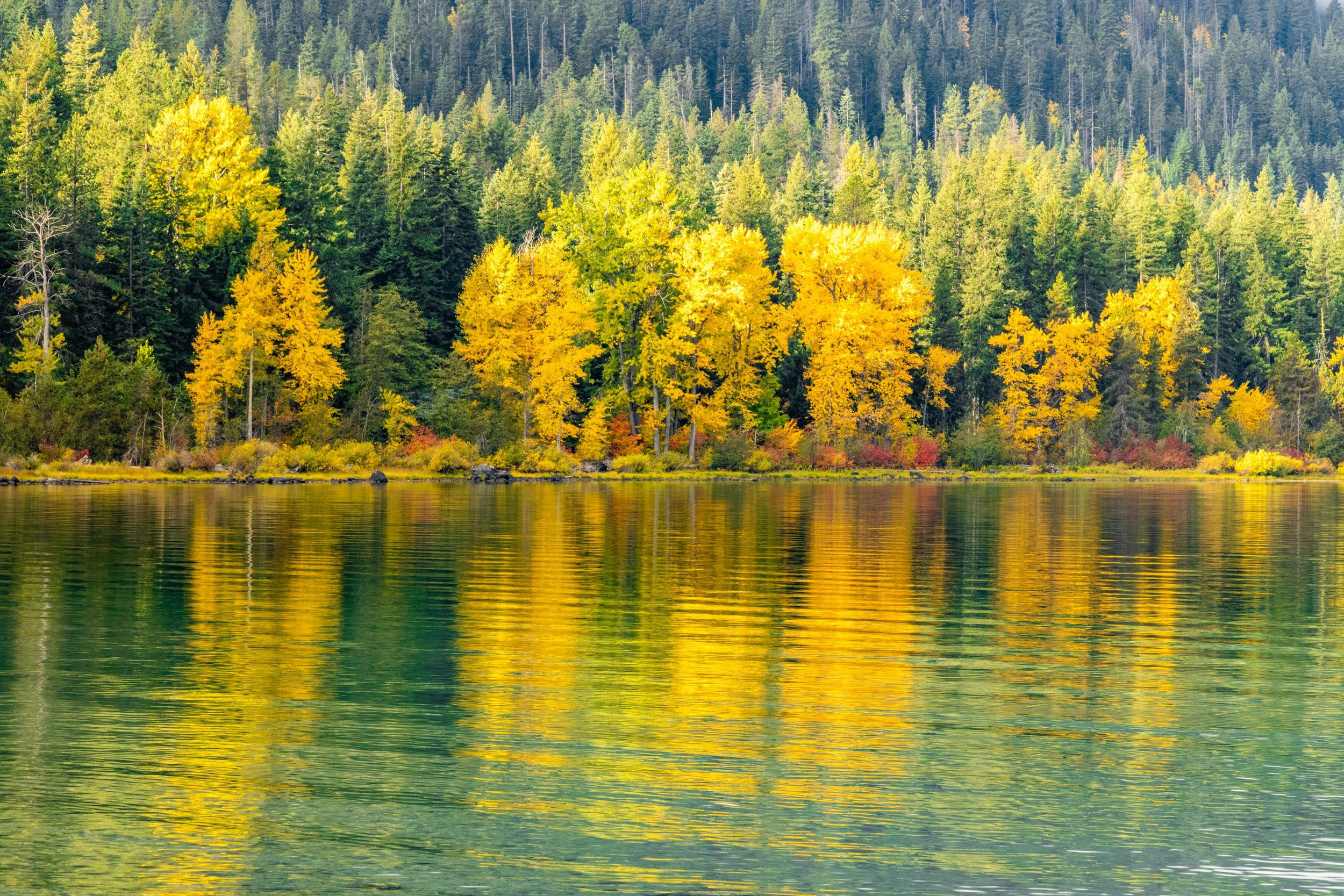 LakeWenatchee101621-4.jpg