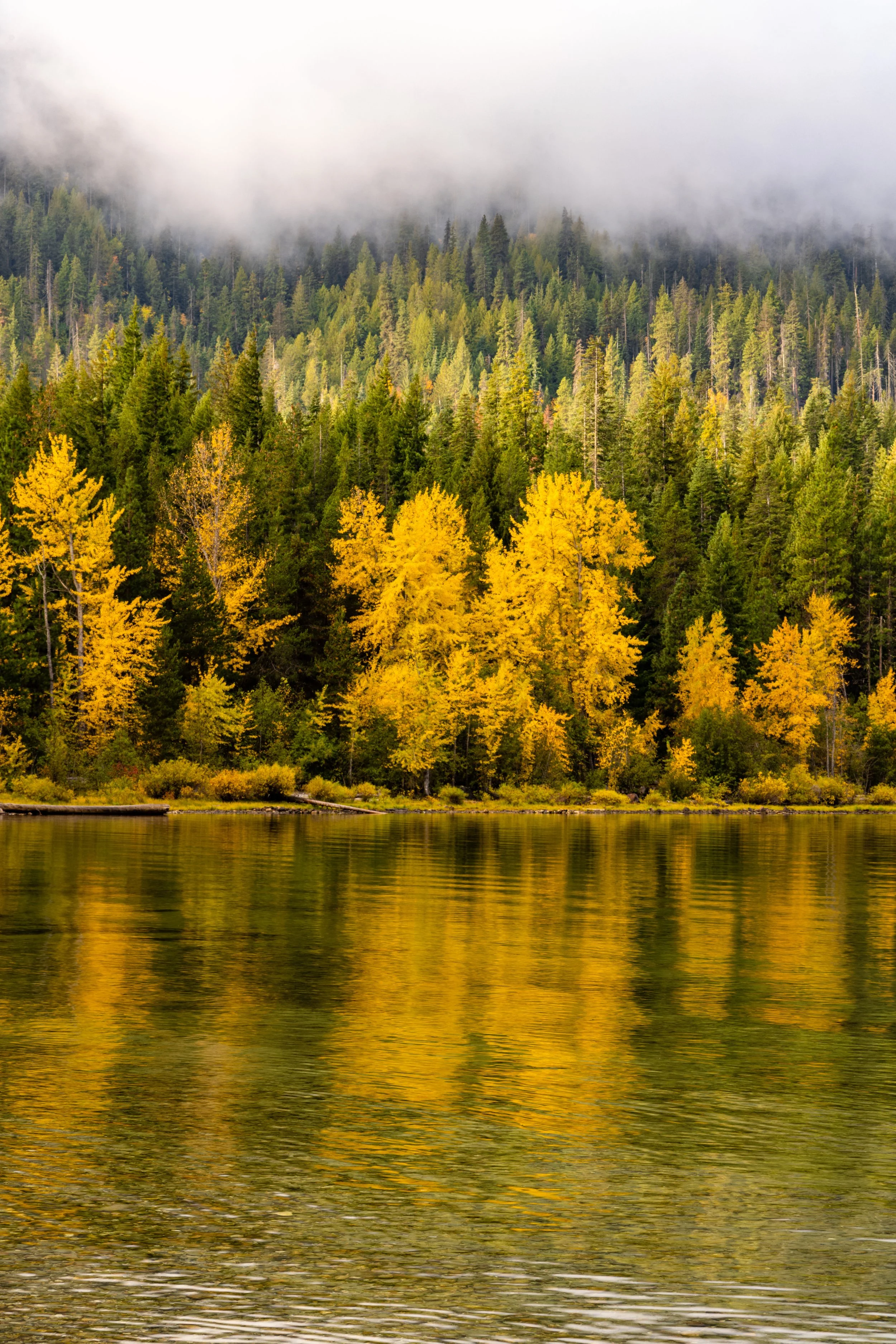 LakeWenatchee101621-5.jpg