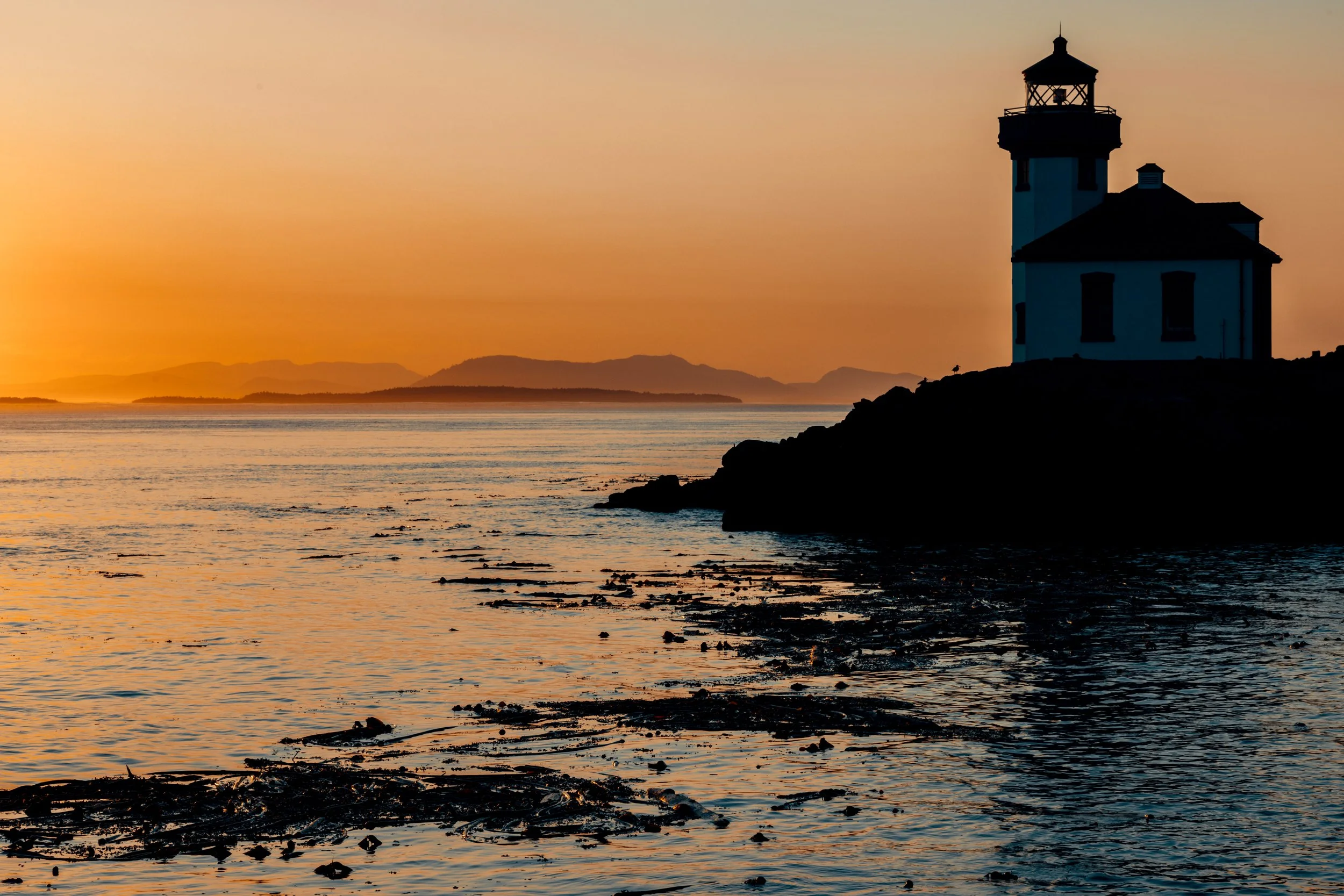 SanJuanIsland71221-8.jpg
