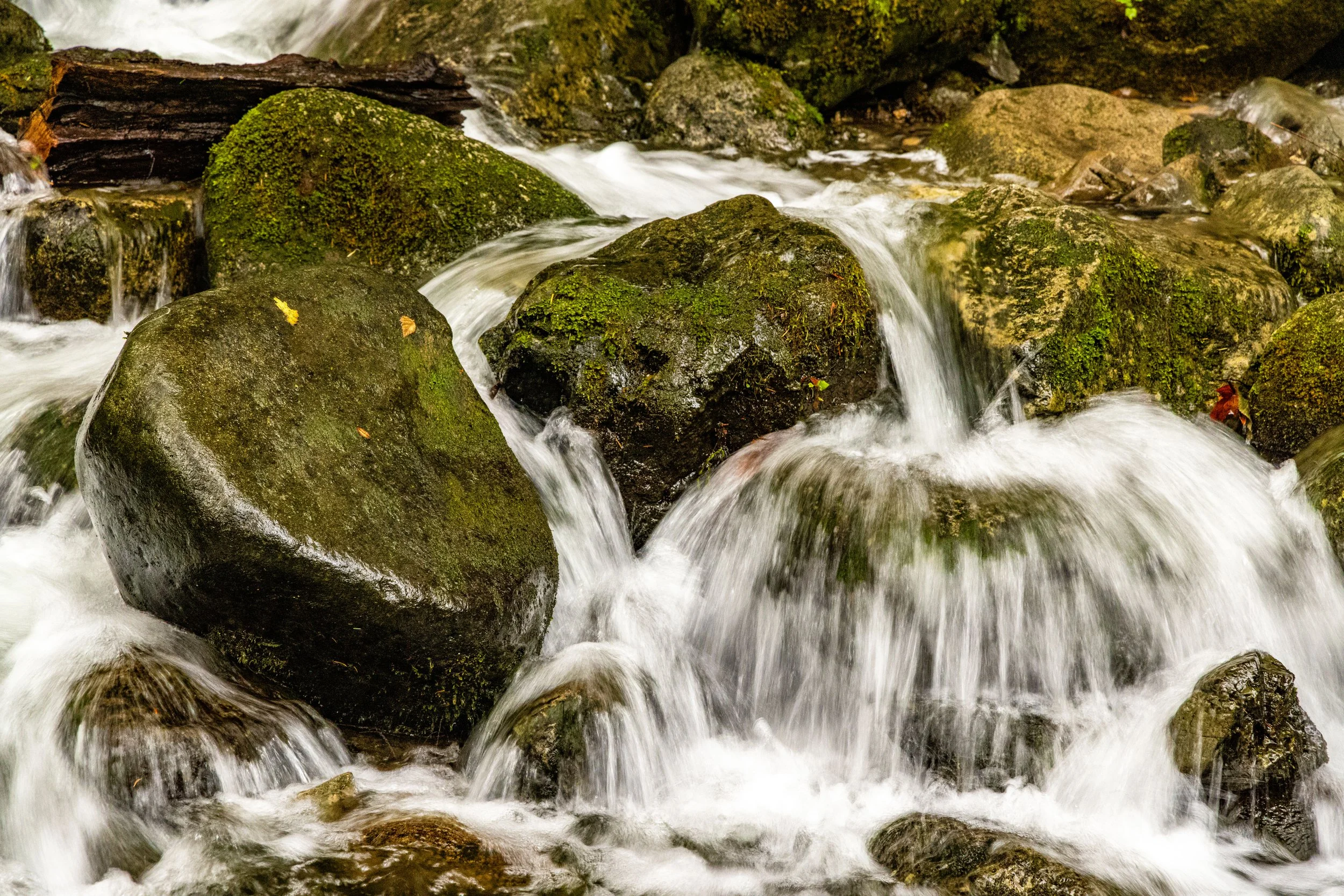 WallaceFalls110621-2.jpg