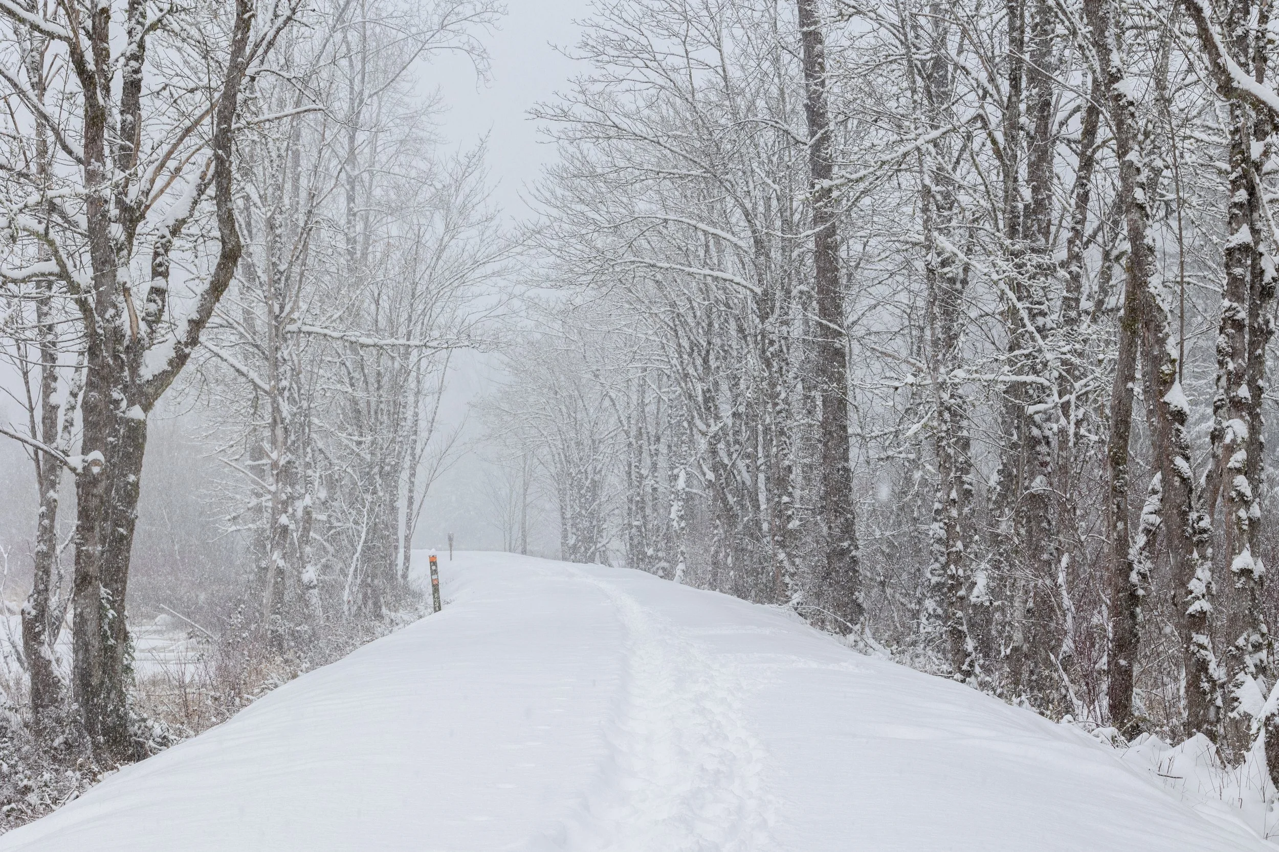 SnoqualmieSnohomishWatershedPreserve21421-2.jpg