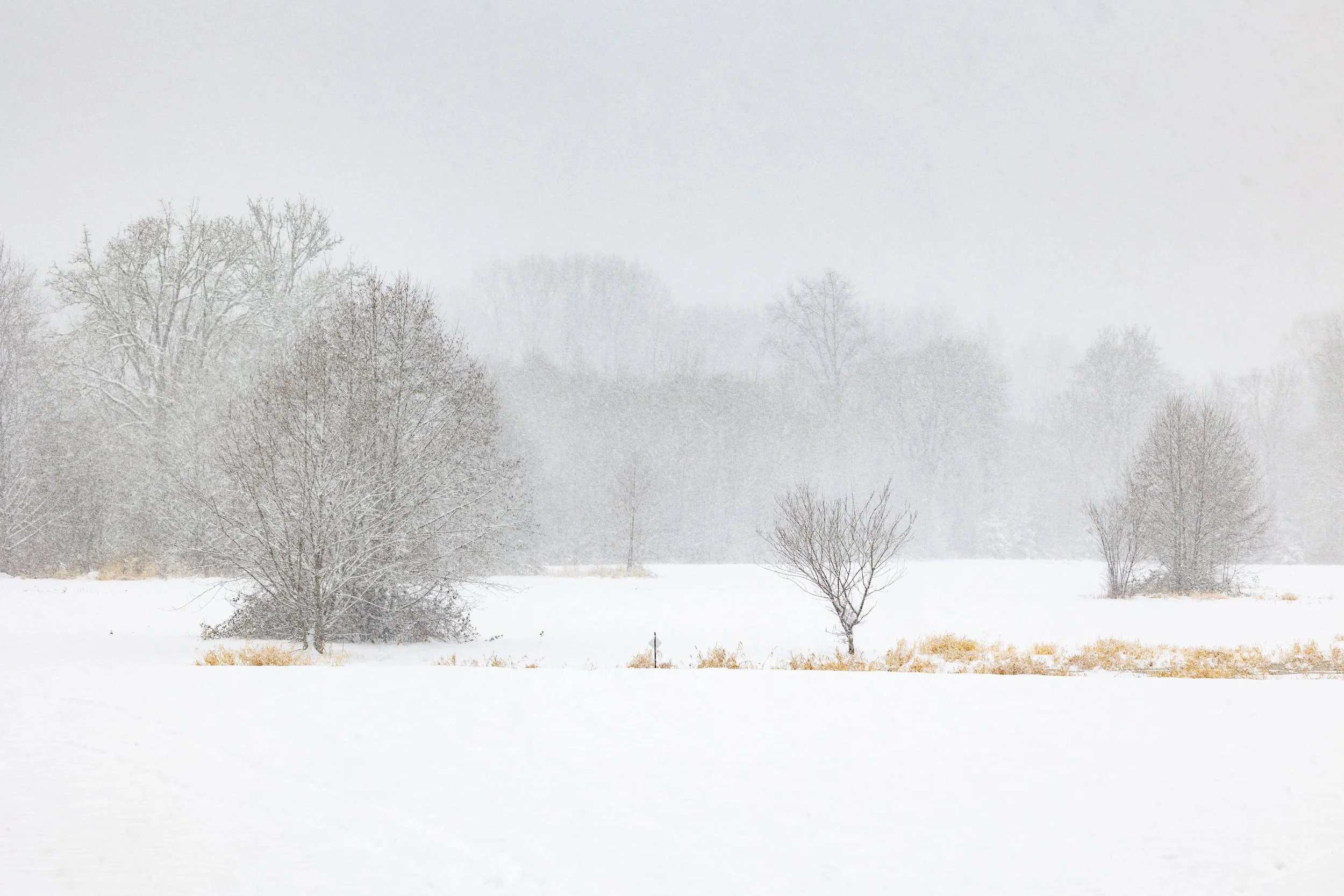 SnoqualmieSnohomishWatershedPreserve21421-3.jpg