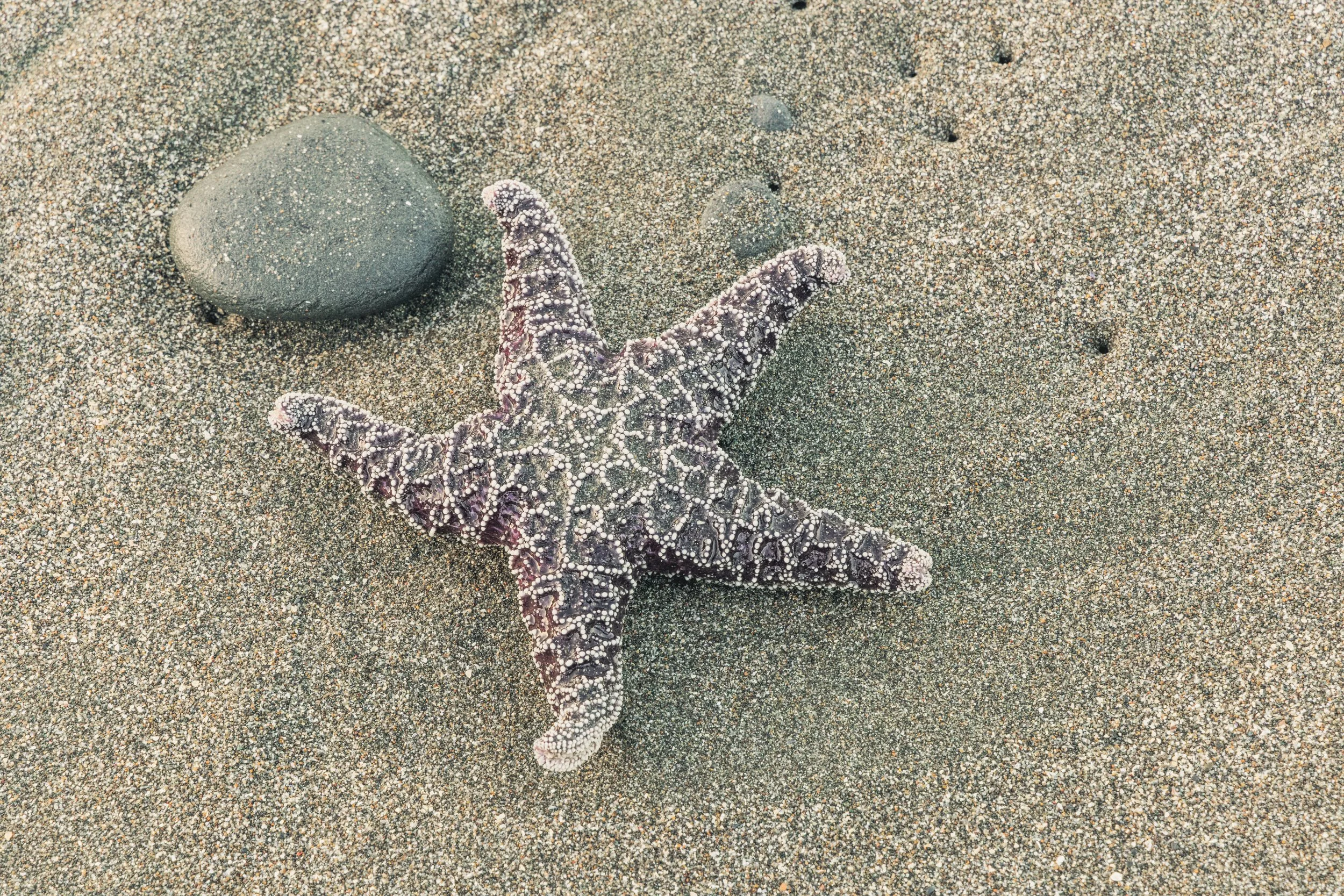 LoneRanchBeach4621-2.jpg